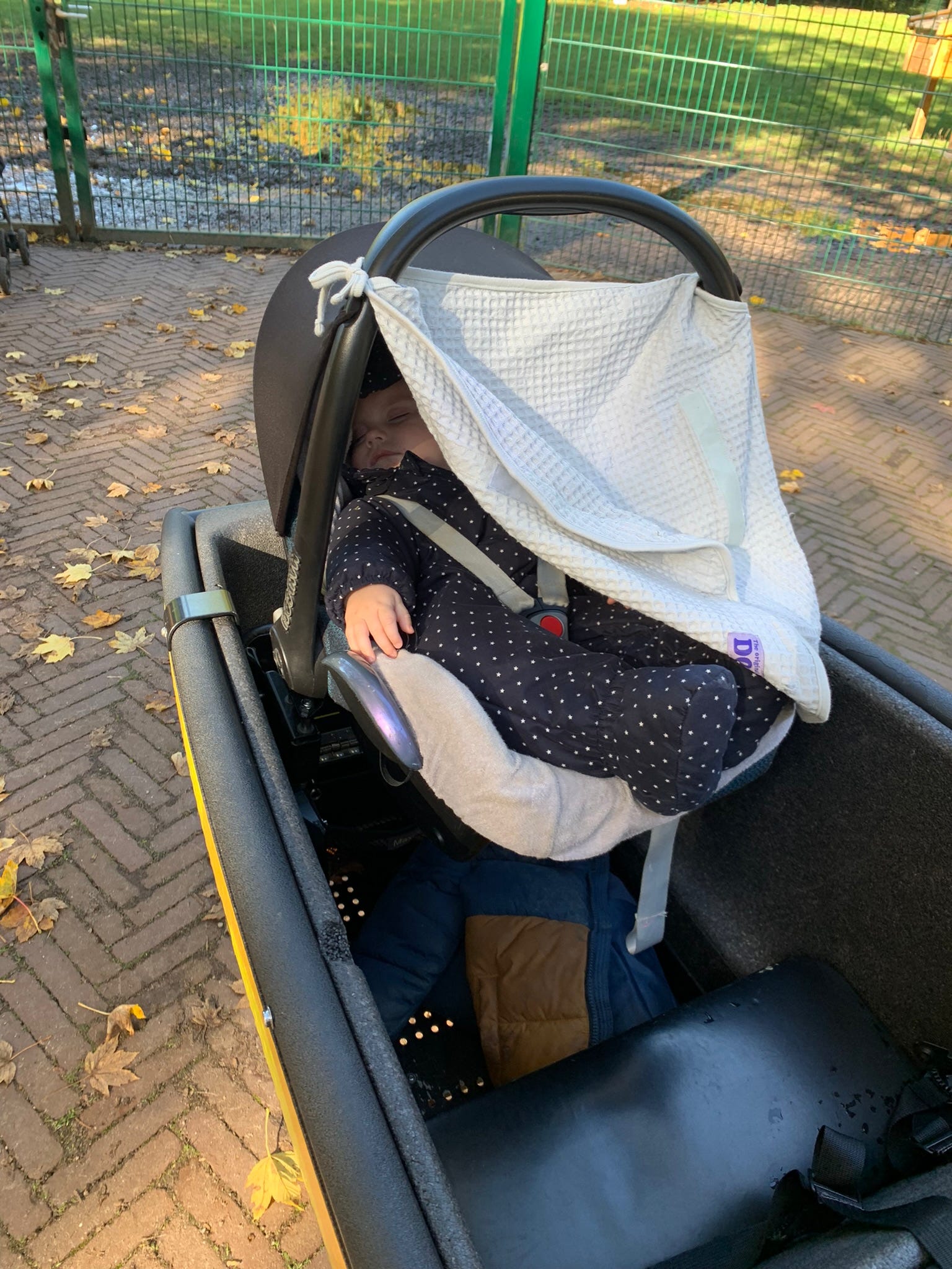 Cargo bike baby online