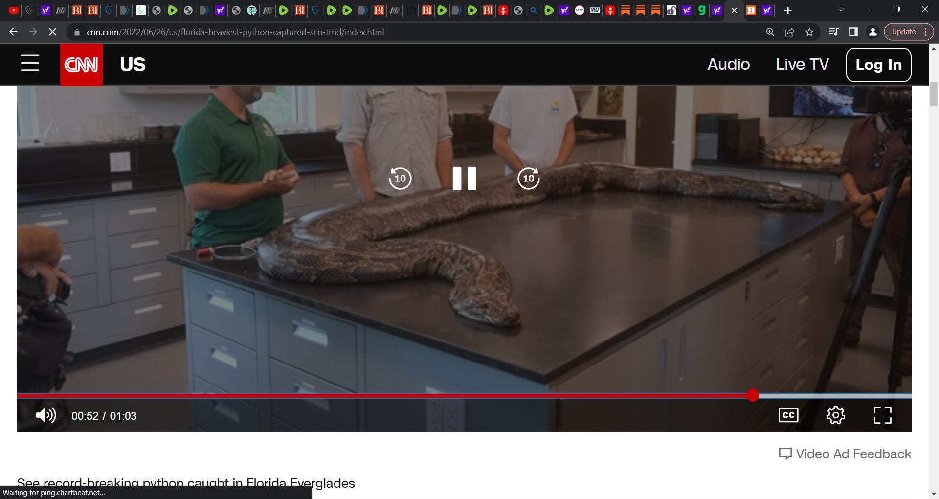 Florida has serious problem with pythons, alligators, and sharks! Its a ...