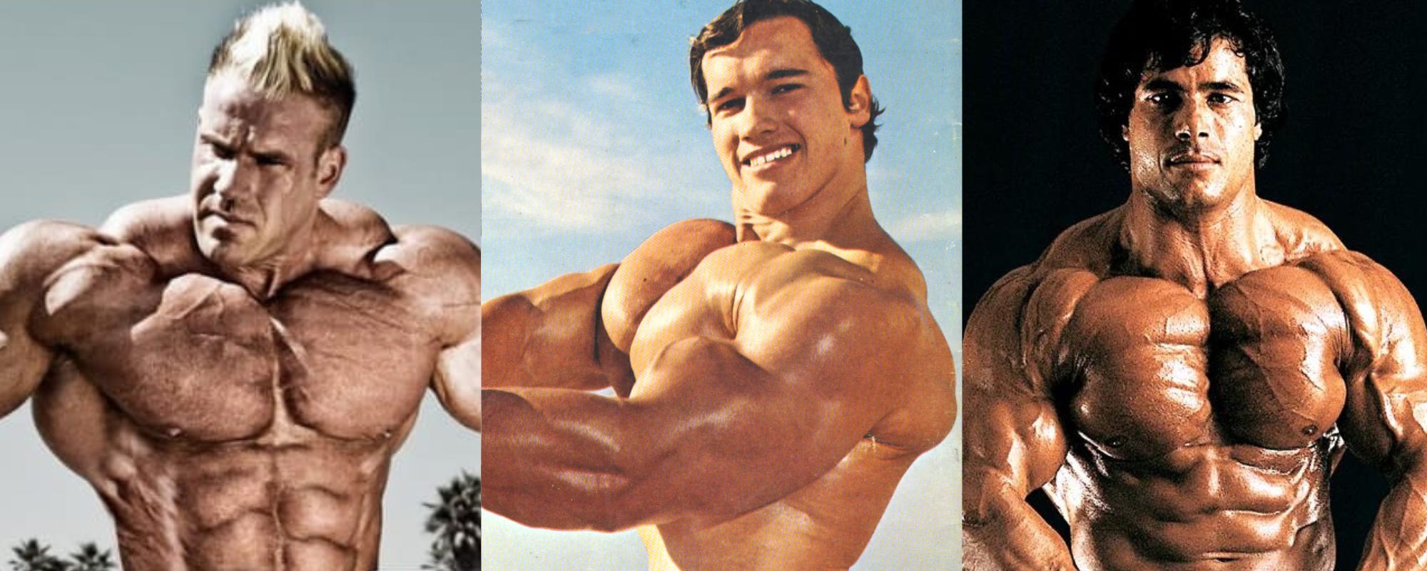 Chest hot sale muscle development