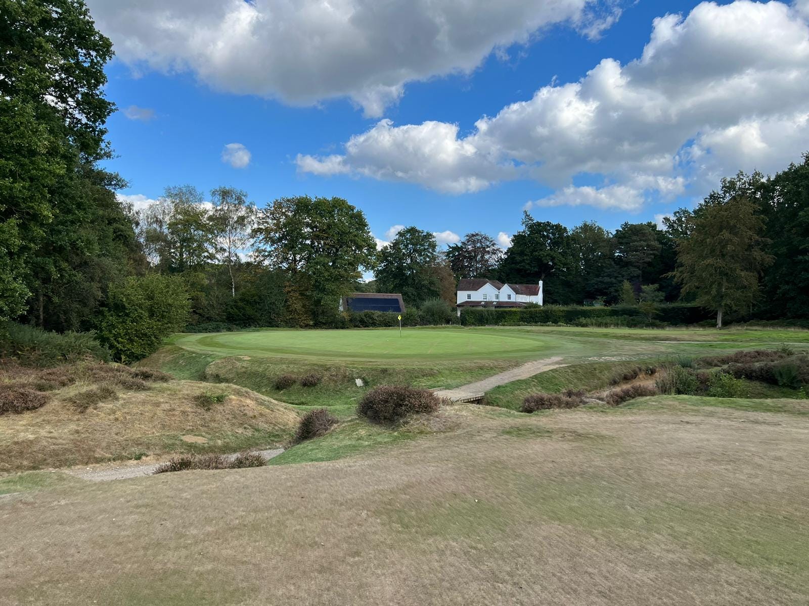 Pitchmarks 26 24th December 2023 Ashdown pitchmarks-26-24th-december-2023-ashdown