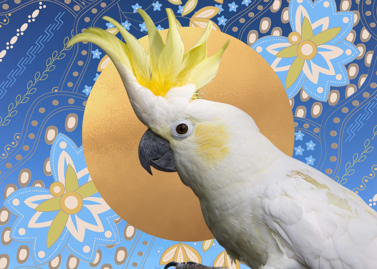 Merison Sulphur-crested Cockatoo - by Wietske Merison