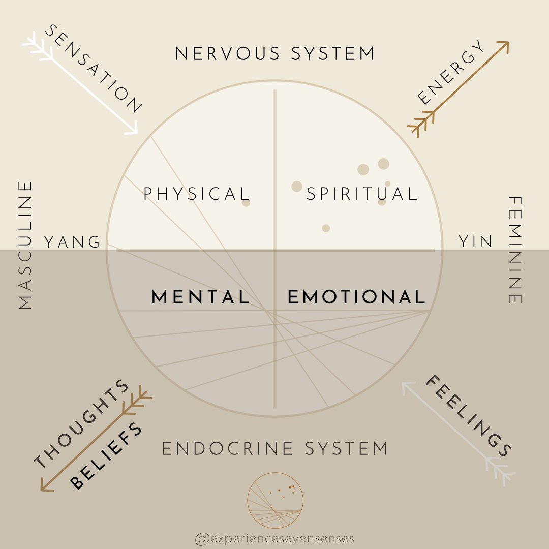The difference between mental and emotional health