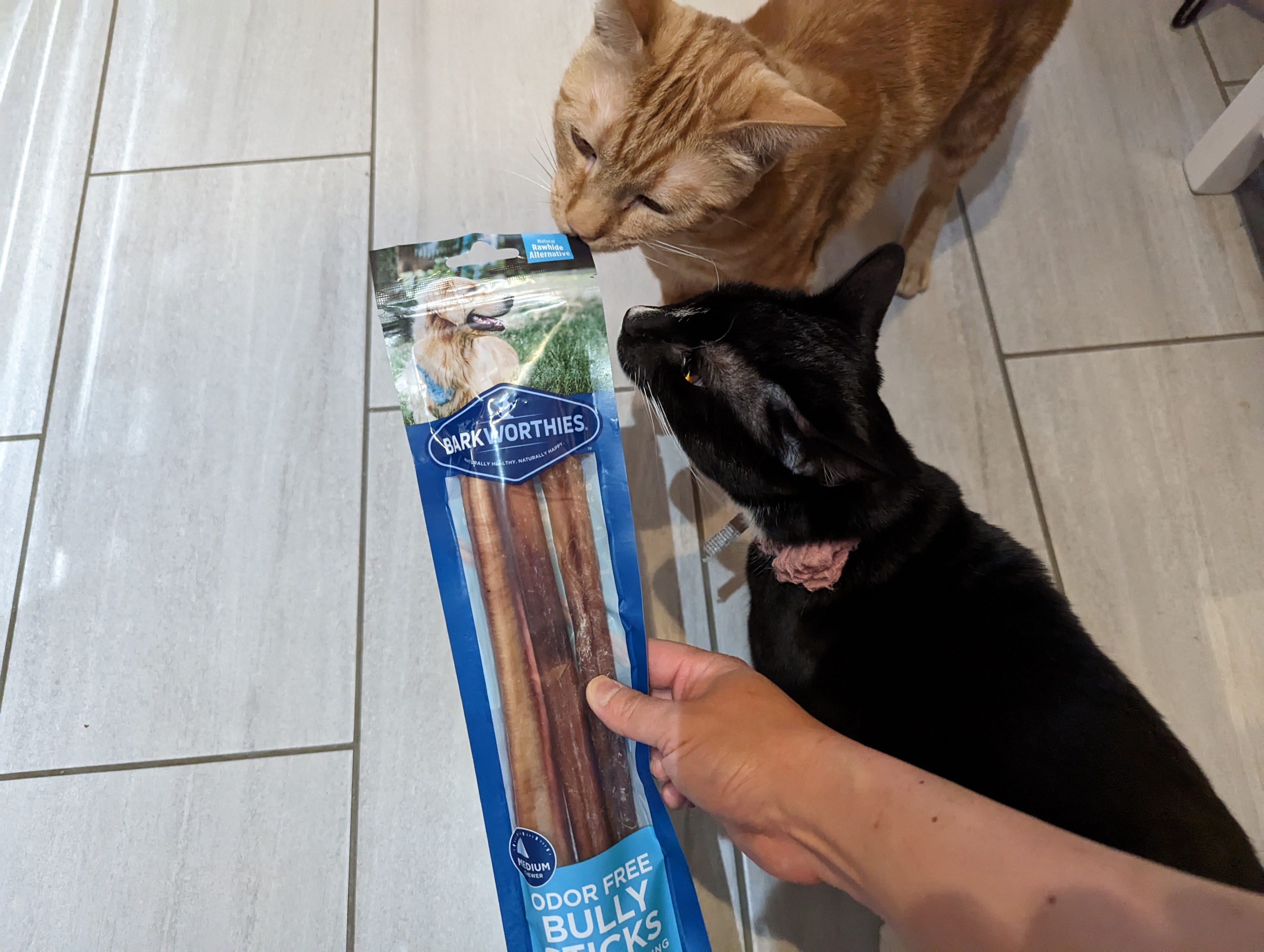 Odor free bully sticks sale petco