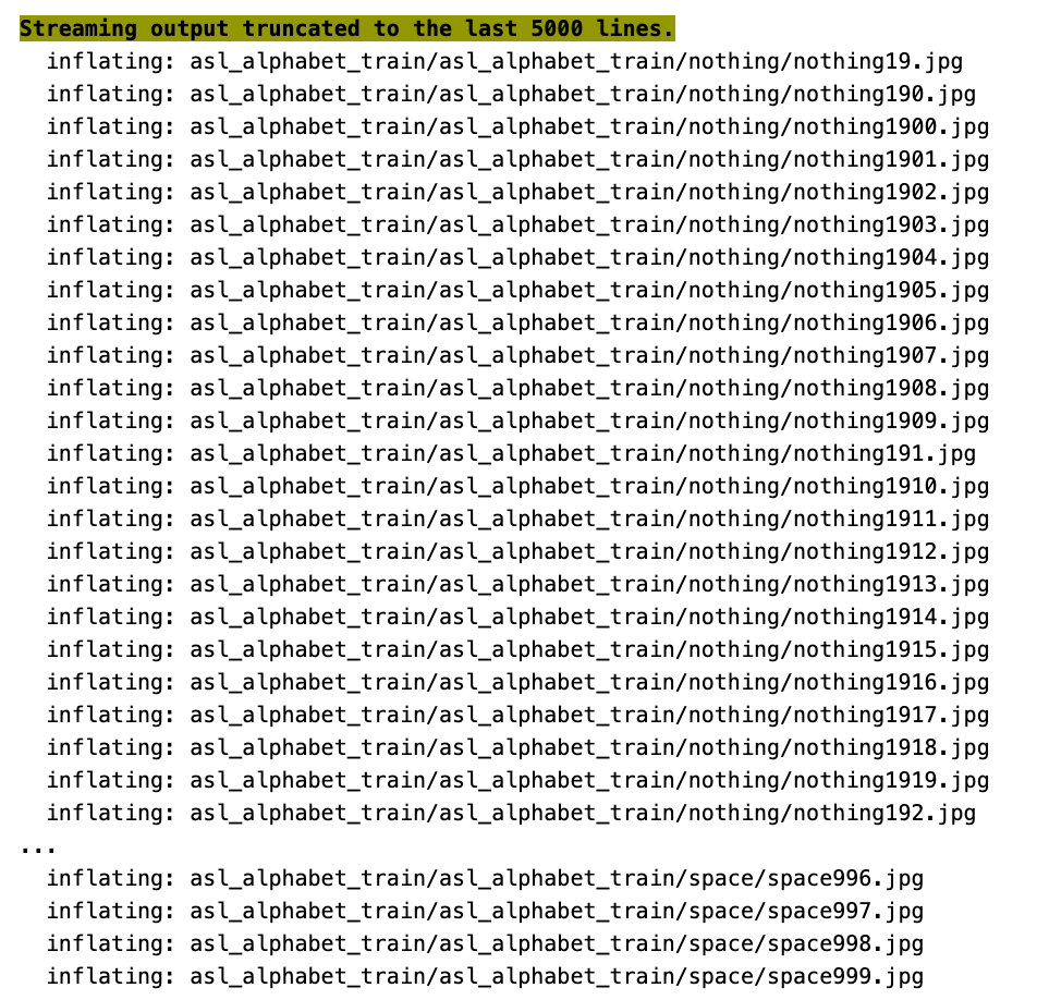 Understanding Sign Language Using Machine Learning
