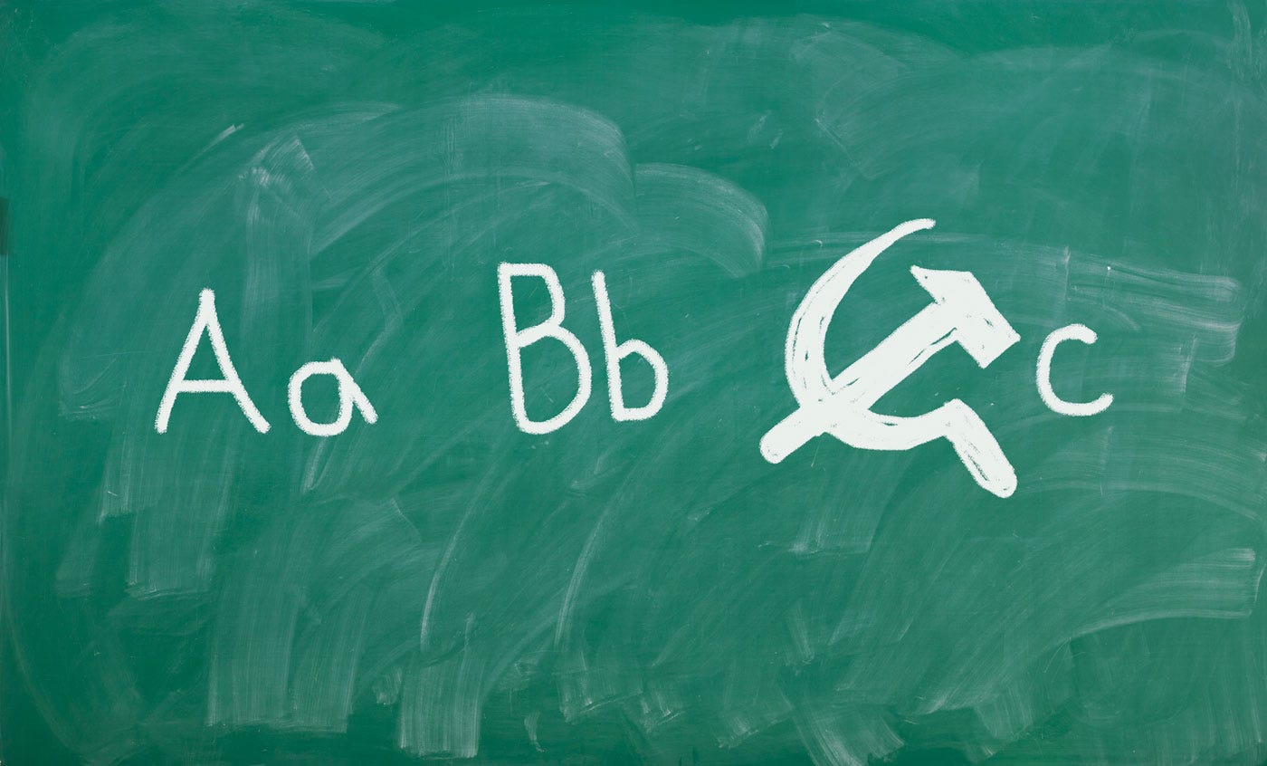 how-public-schools-became-ideological-boot-camps
