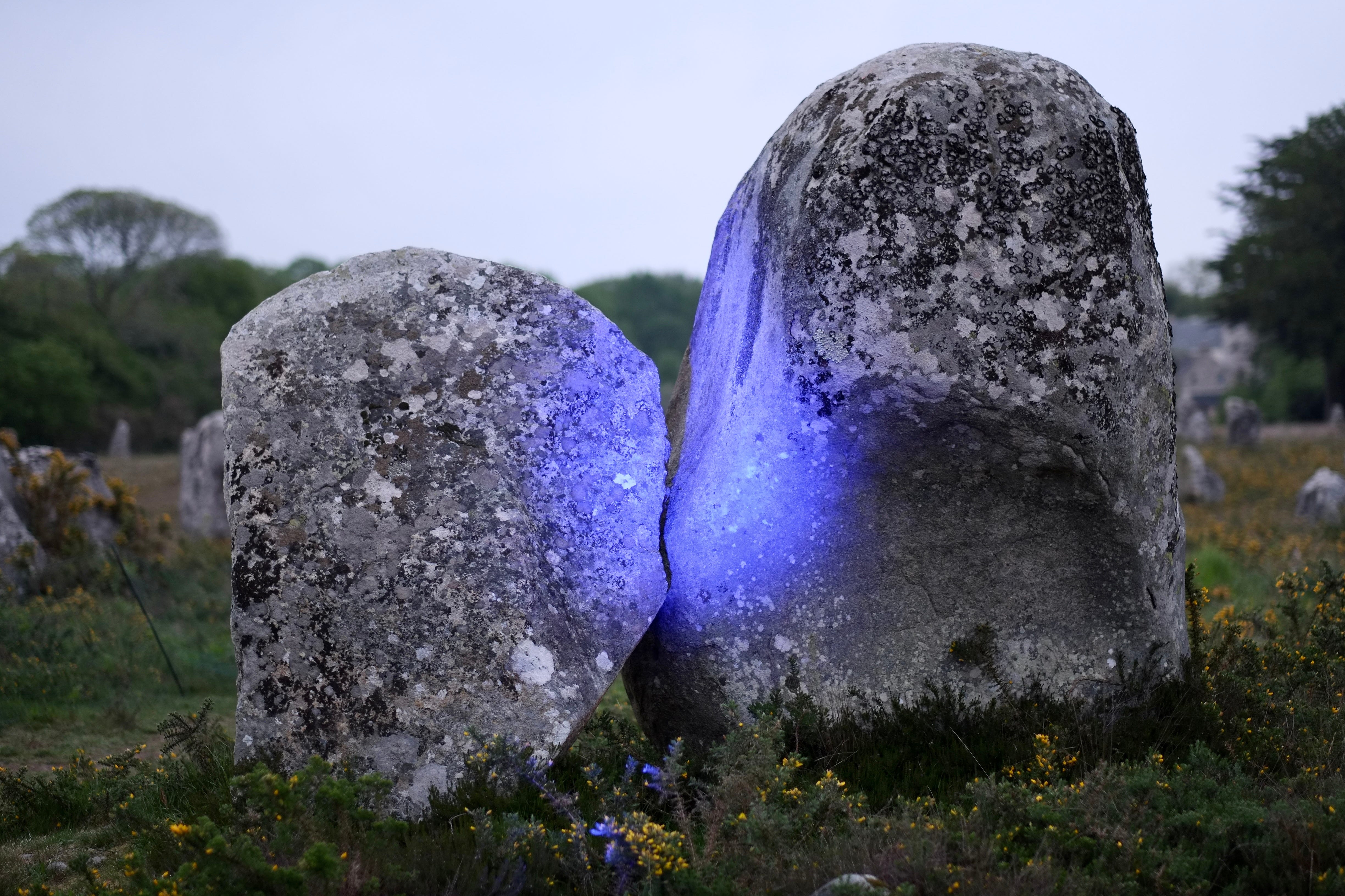 A Brief Interruption In Our Regular Programming