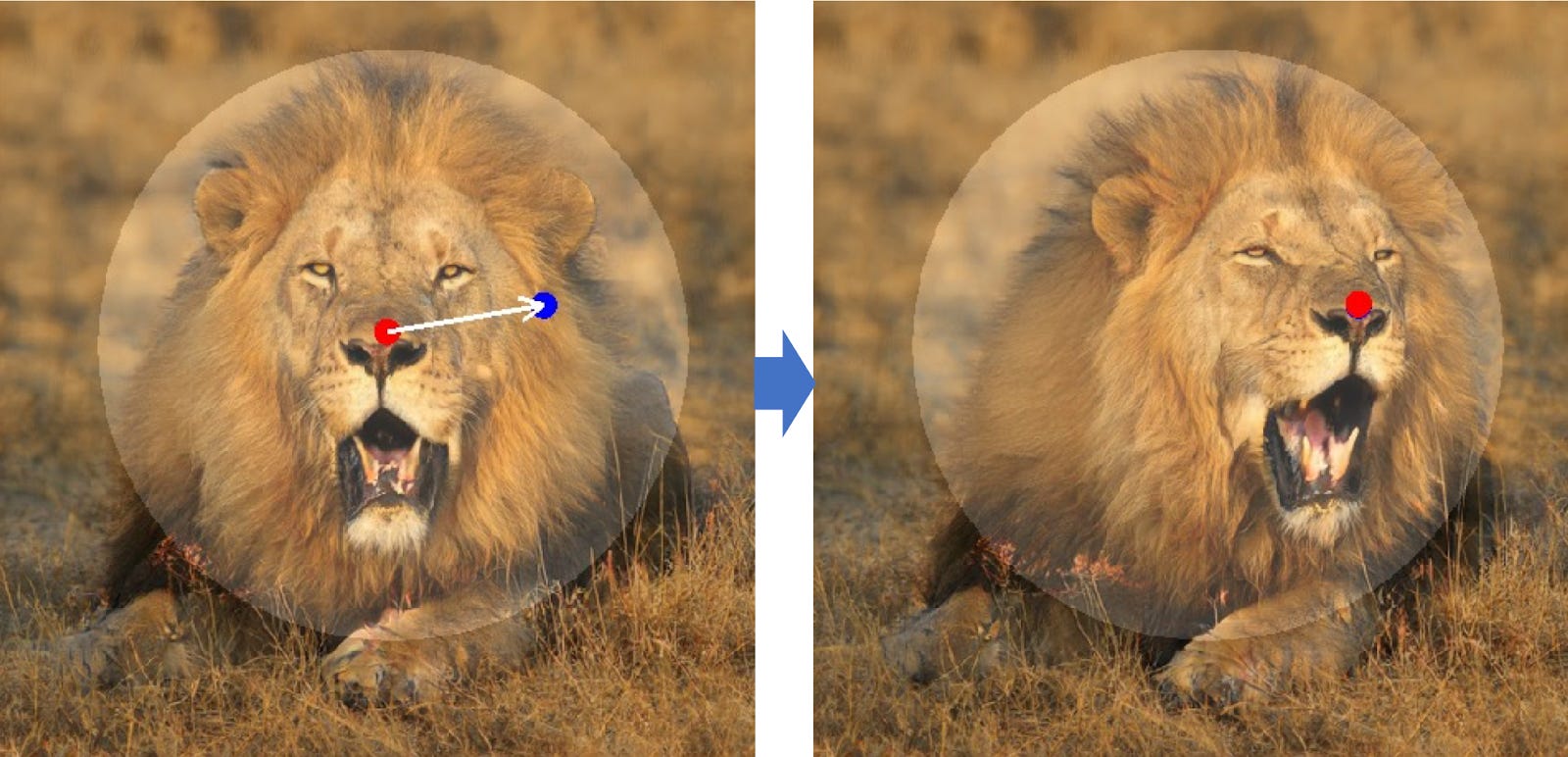 How to Train a DragGAN by Unbox Research