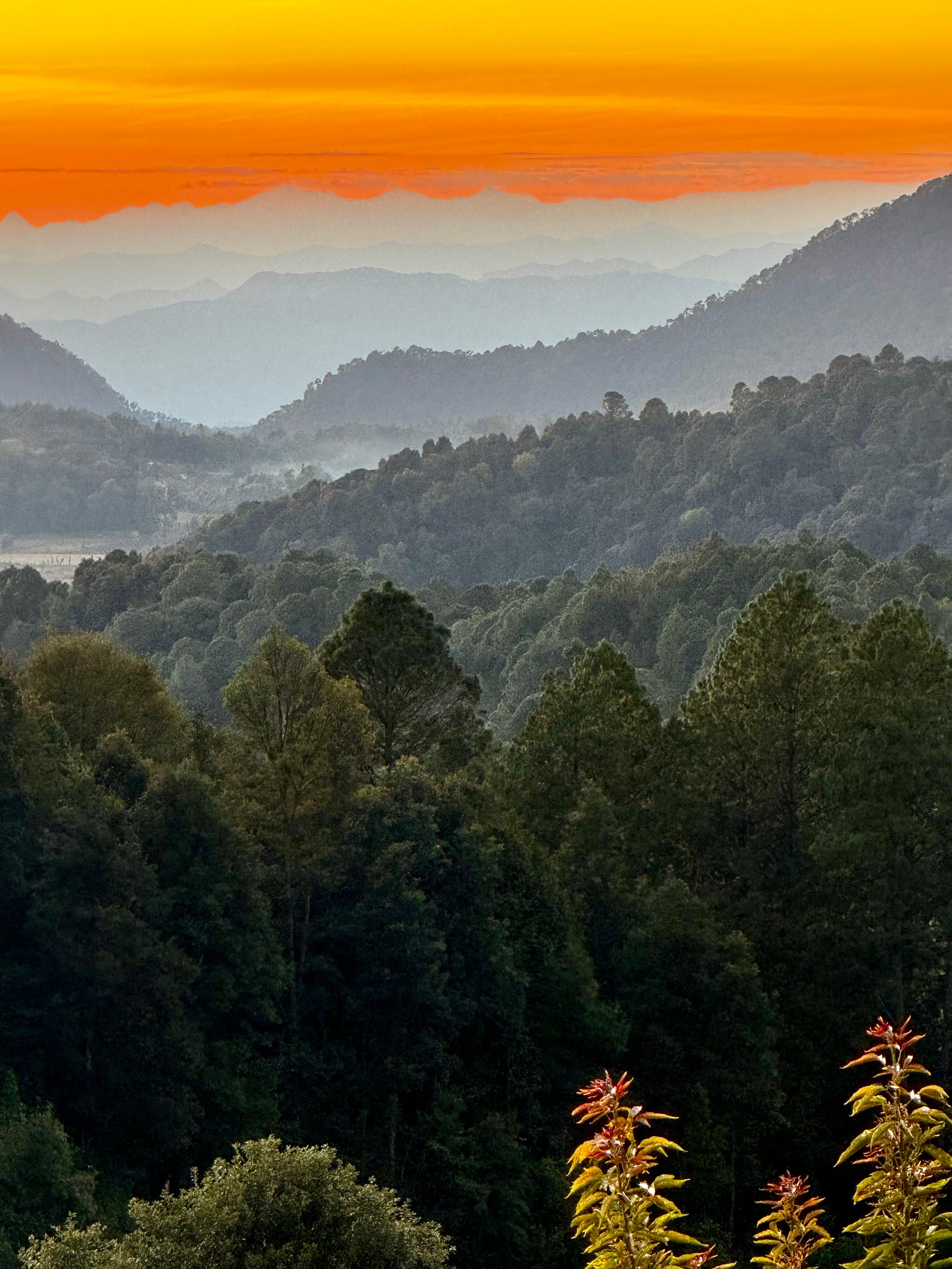 Wings Of Wonder: Tracing The Largest Monarch Butterfly Migration Across ...