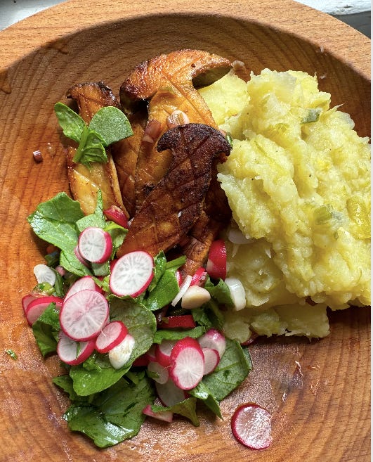 A meal for the regressive spring - by Molly Mitchell