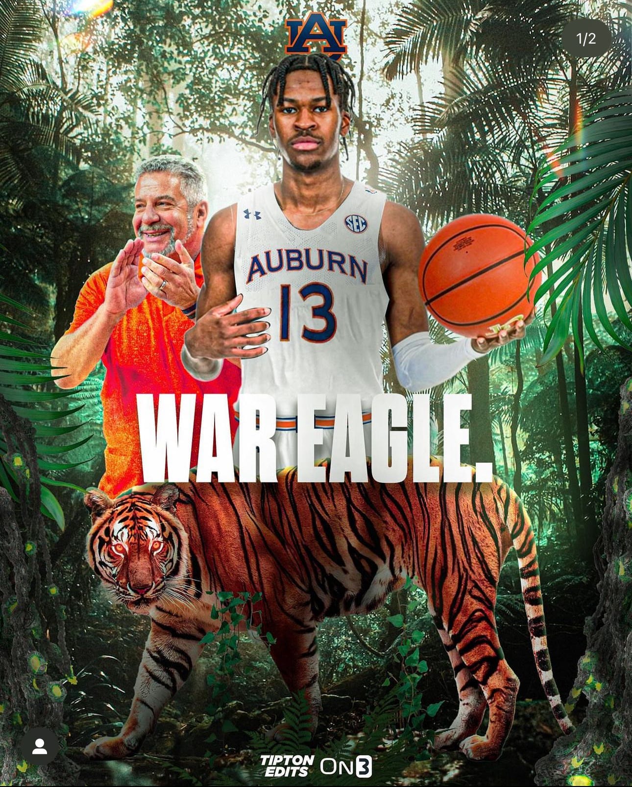 Auburn tigers basketball roster clearance
