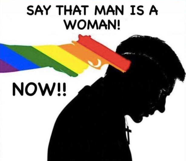 Pridesteria Best Gender And Transgender Memes Patterns Of Violence 