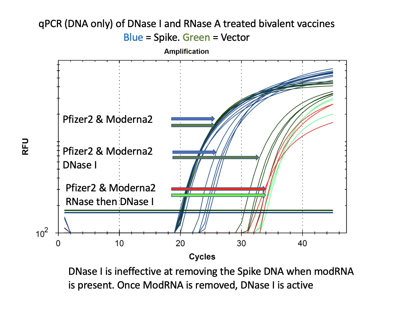 DNA-RNA hybrids, R-Loops and nuclease resistance of the mRNA vaccines
