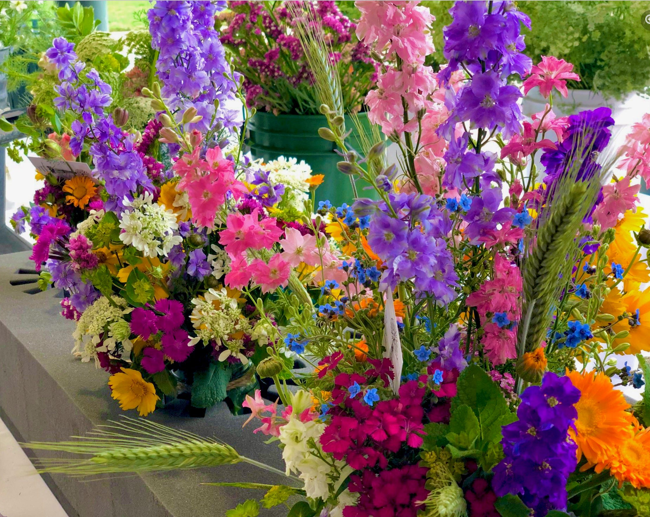 Spring Farmers Market By Anita Untersee Spring farmers market by anita untersee