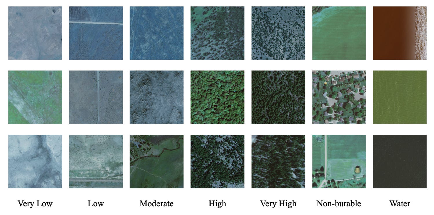 New discoveries #13 - by Robin Cole