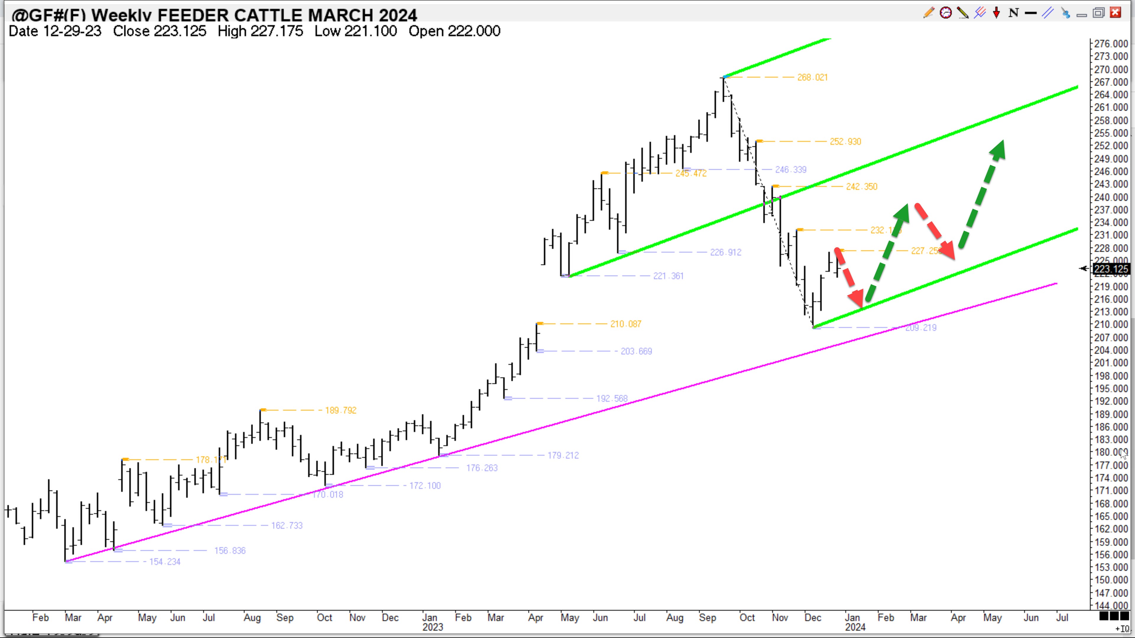 Feeder Cattle Market Update by Keaton Heller