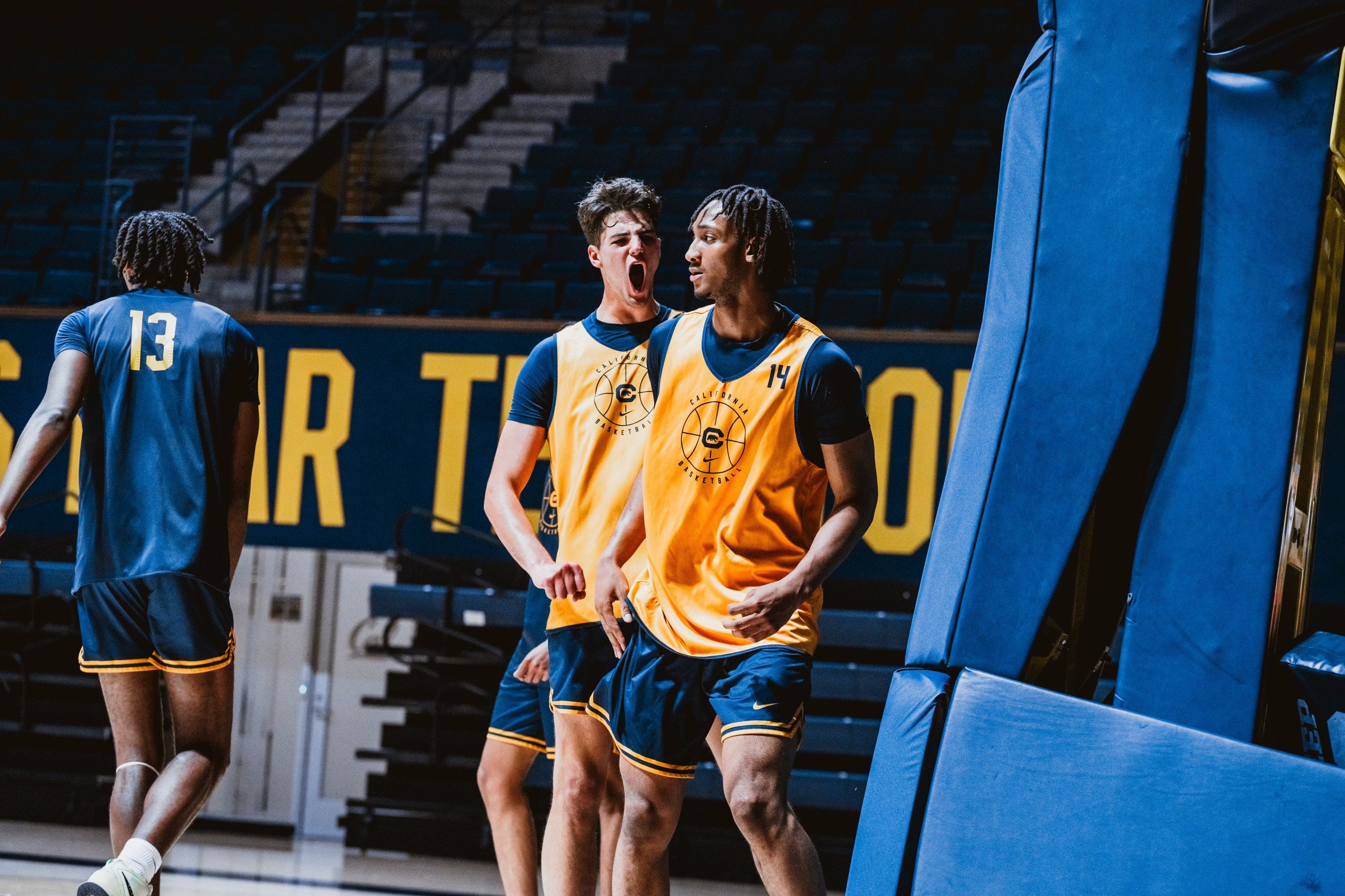 Cal v. St. Thomas Minnesota College Basketball Betting Odds and