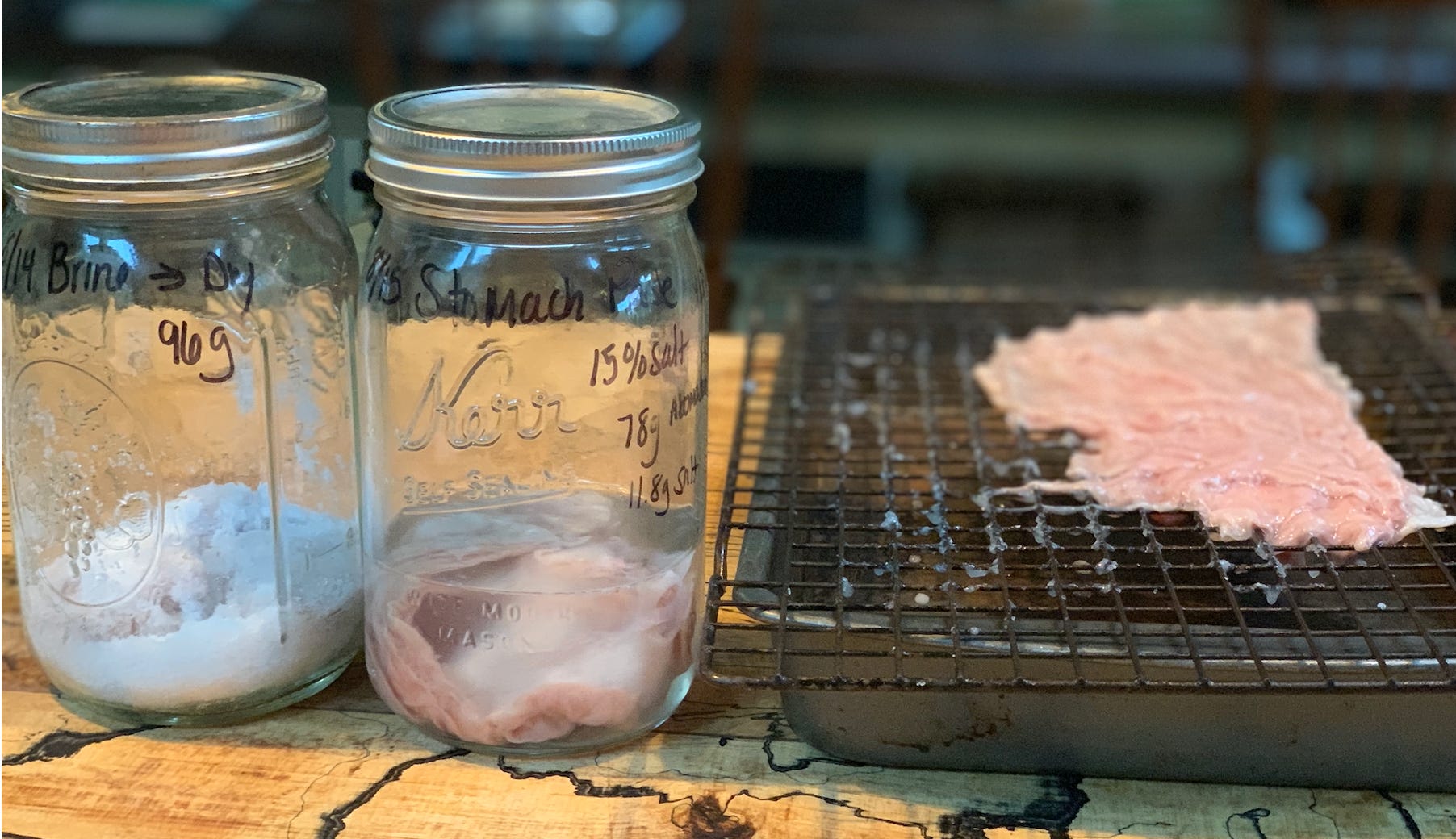 How to Make Animal by Quinn Plow in Hope