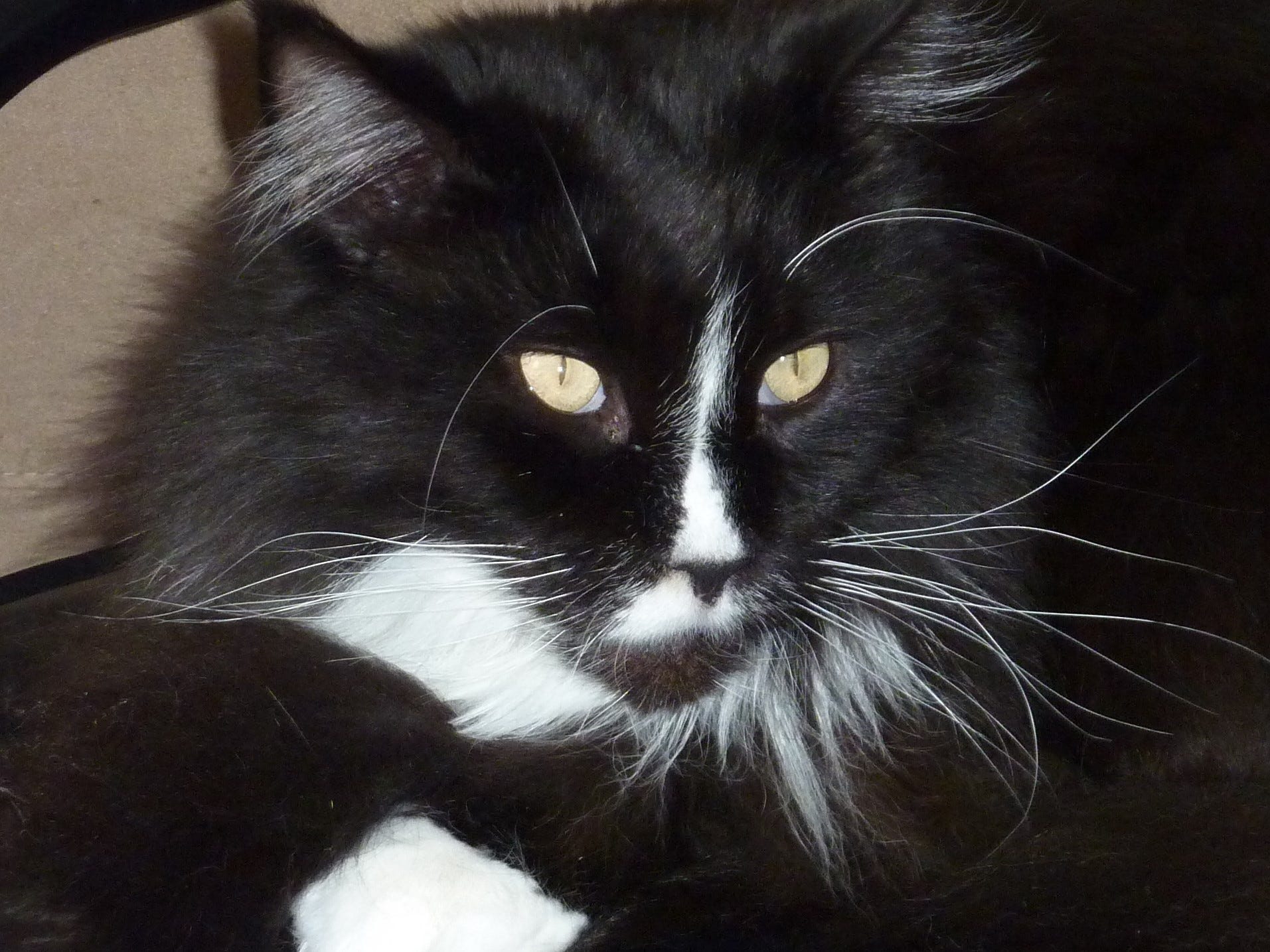 A Biker's Life: Misadventures On (and Off) Two Wheels - Foto 8