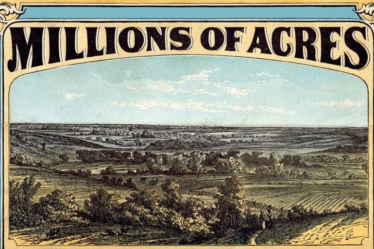 What Is The Purpose Of Homesteading? by TheLastFarm