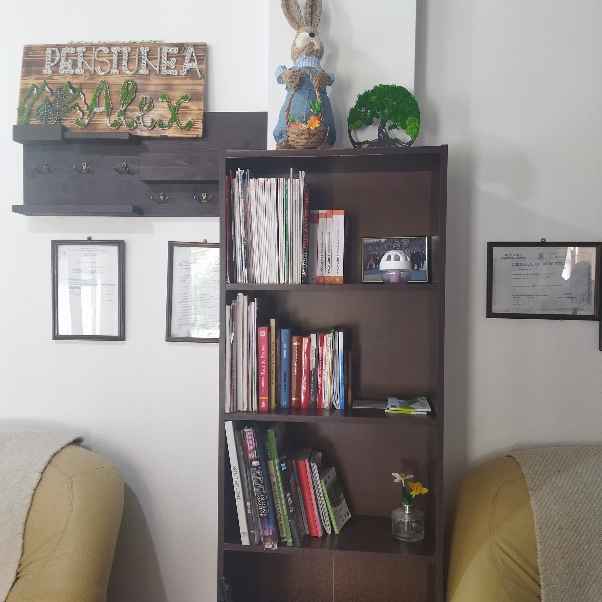 Bibliotecar în vacanță - BiblioFeed