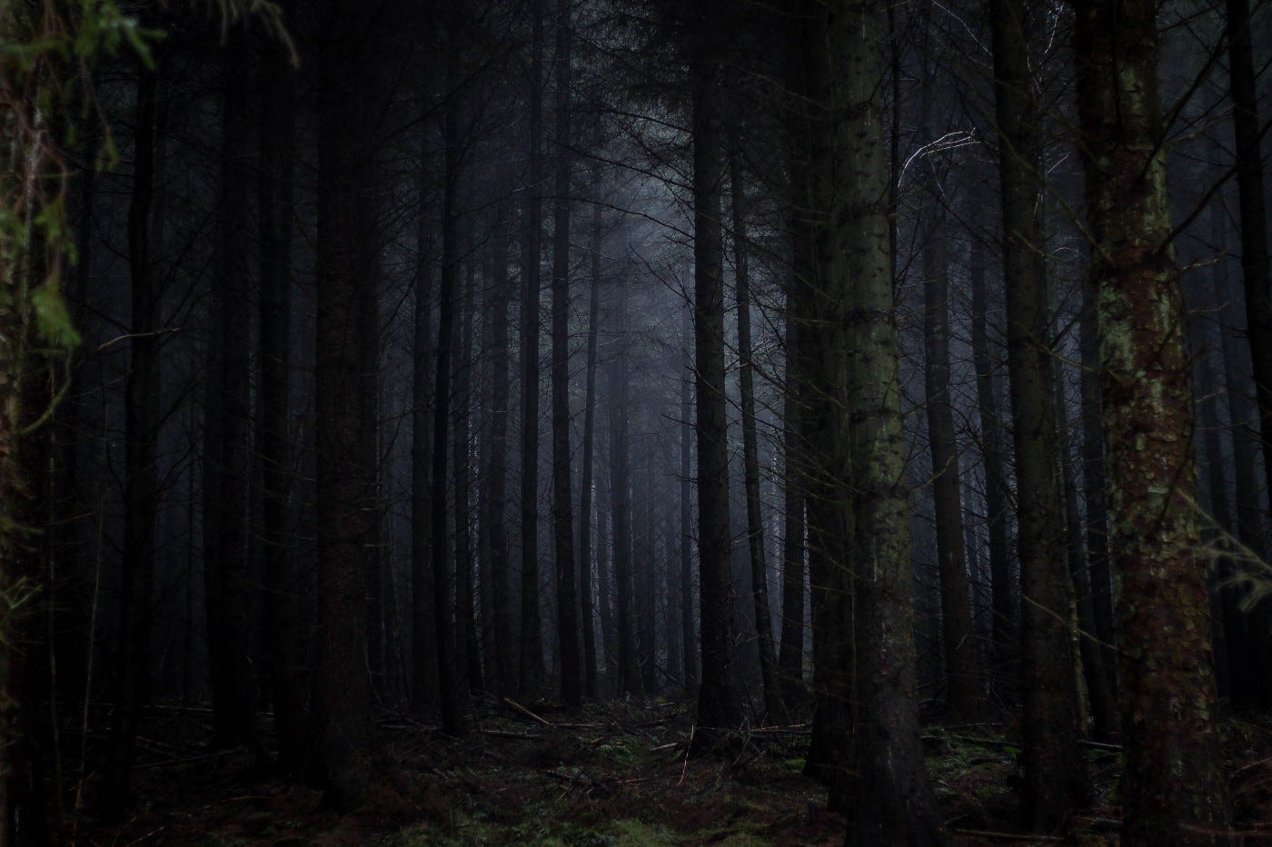 The Dark Forest Theory of the Internet