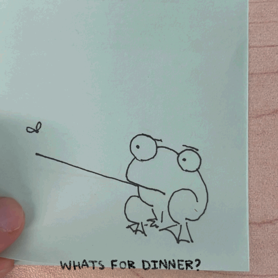 The Punch Steinbergdrawscartoons’s Substack