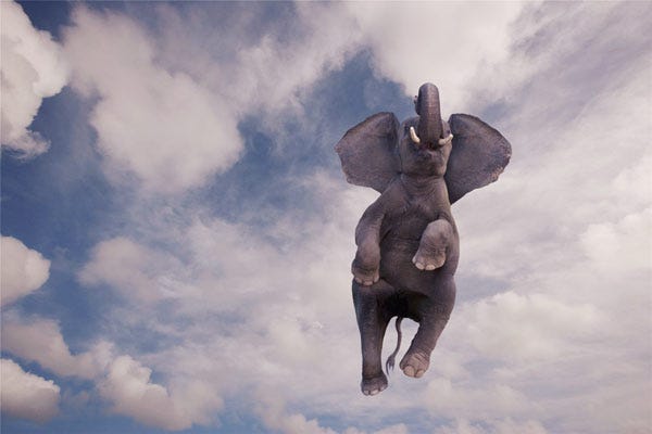 Bouncing elephant discount