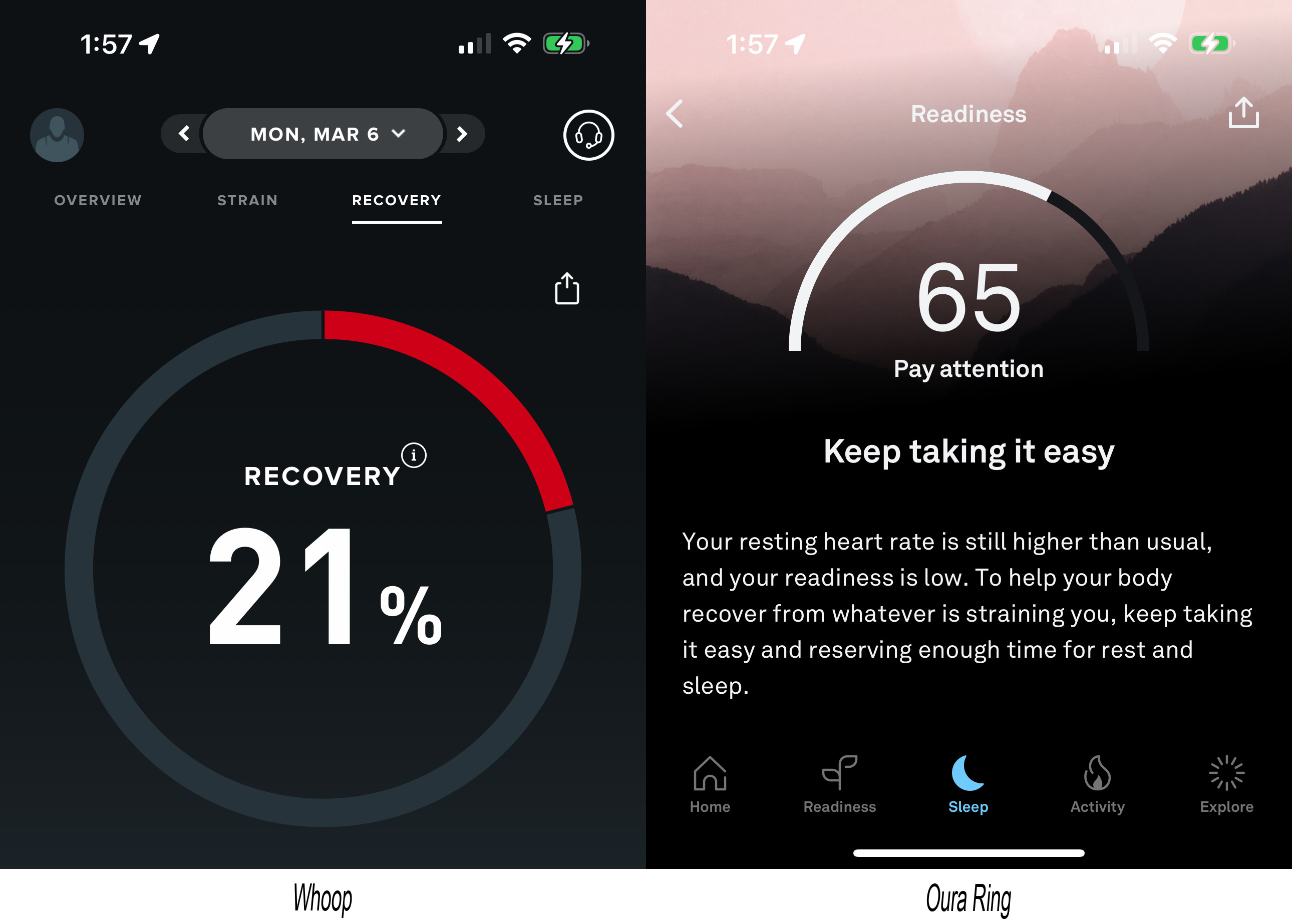 Oura ring resting heart rate shop