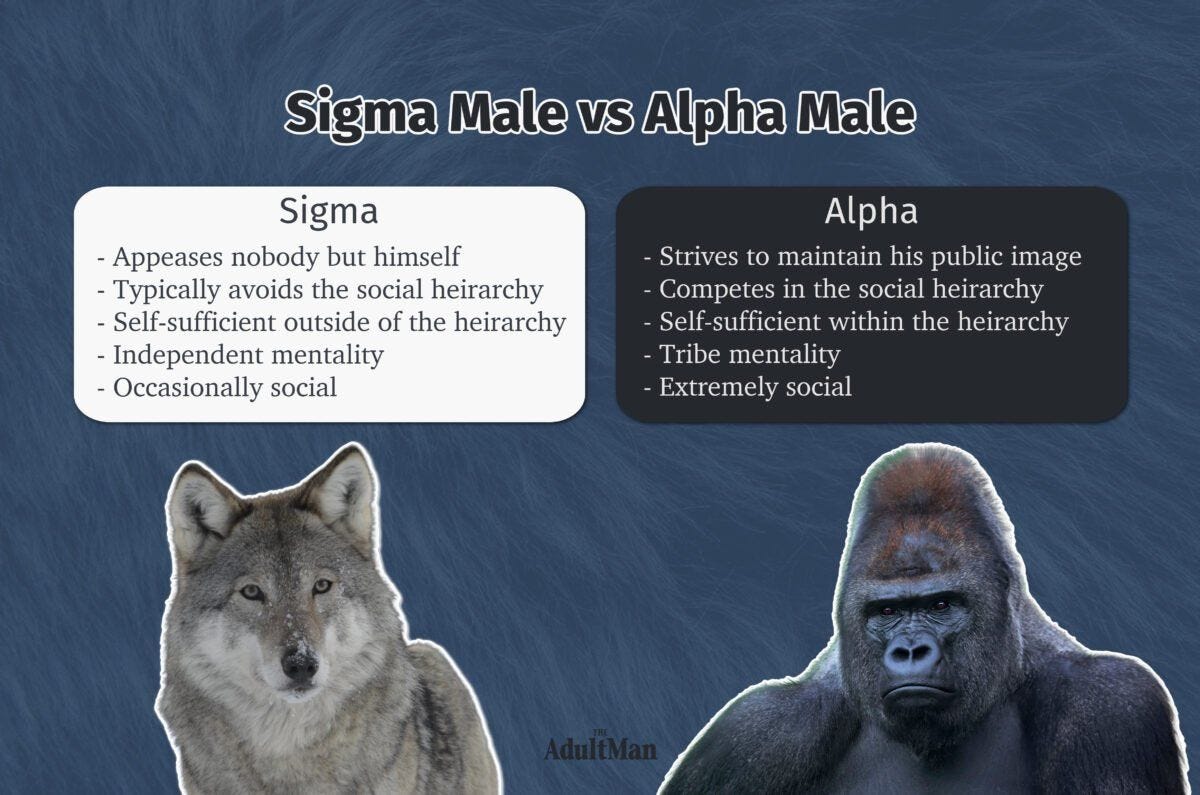 A teenage boy called me a 'sigma', but what does that even mean?