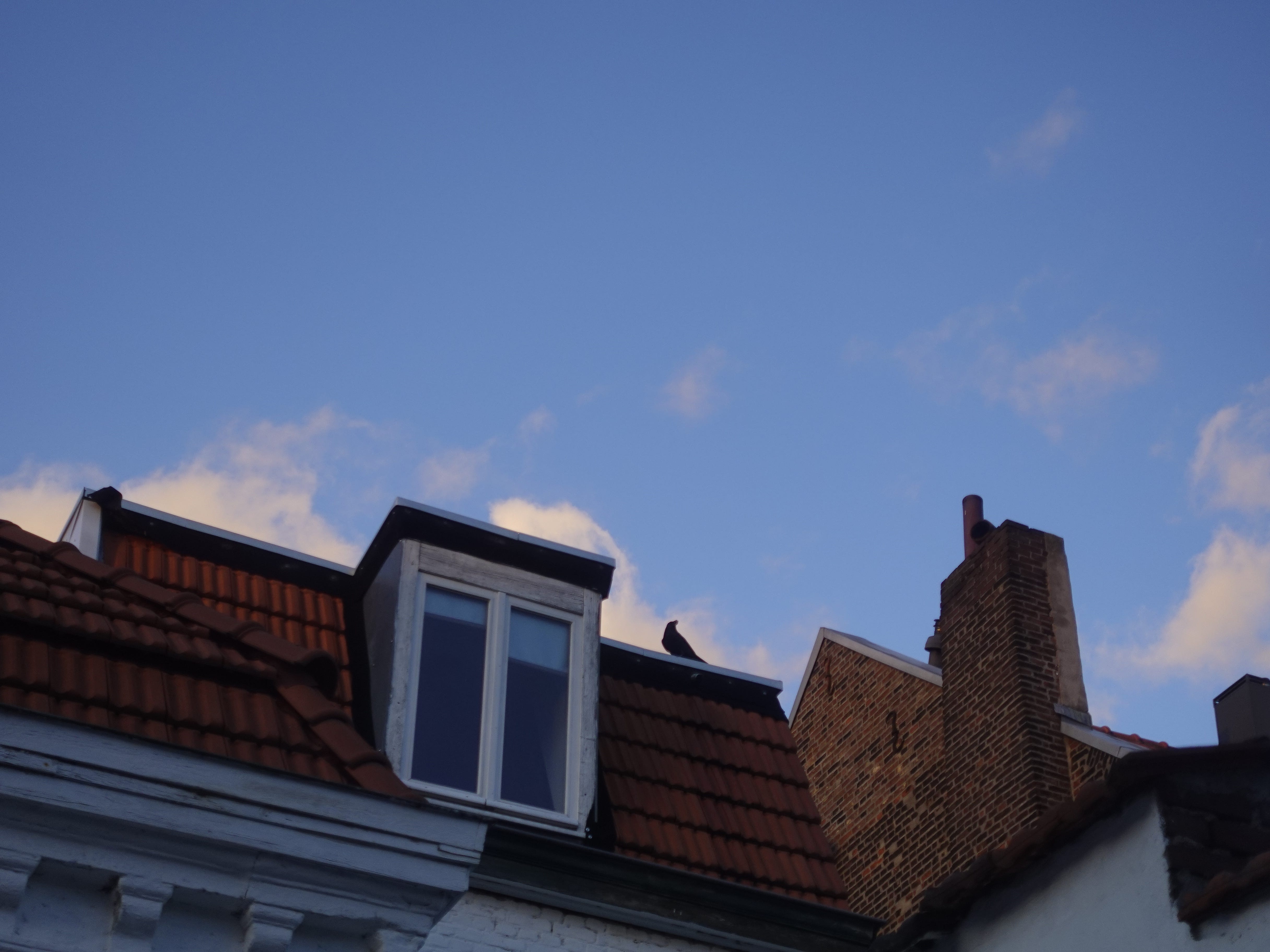 (Untitled) Between the Lines by Marlow Baines