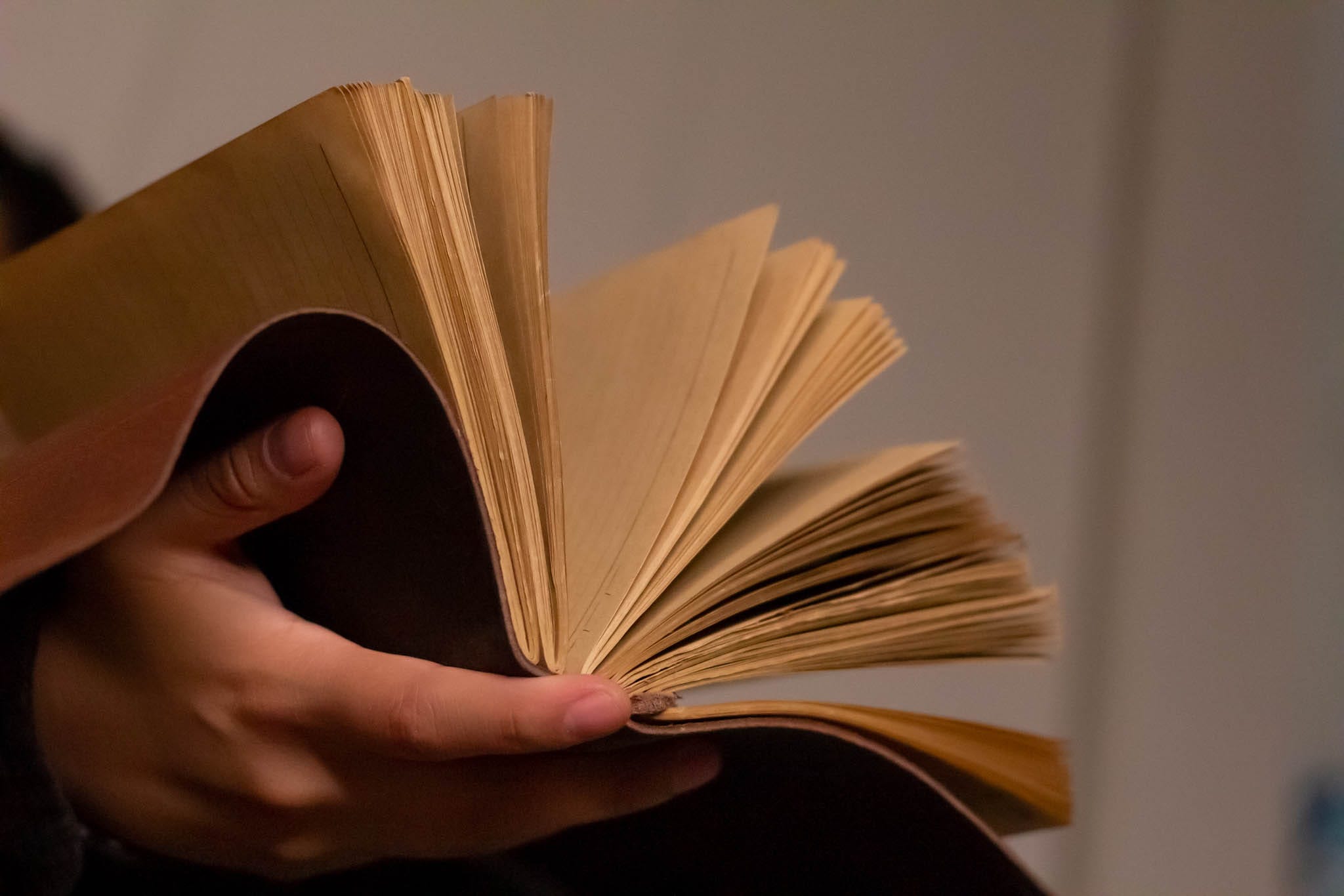 Un Nuevo Comienzo Aureth S Substack