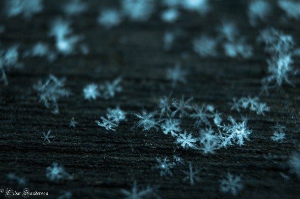 Snowflake Photography - by Cedar Sanderson