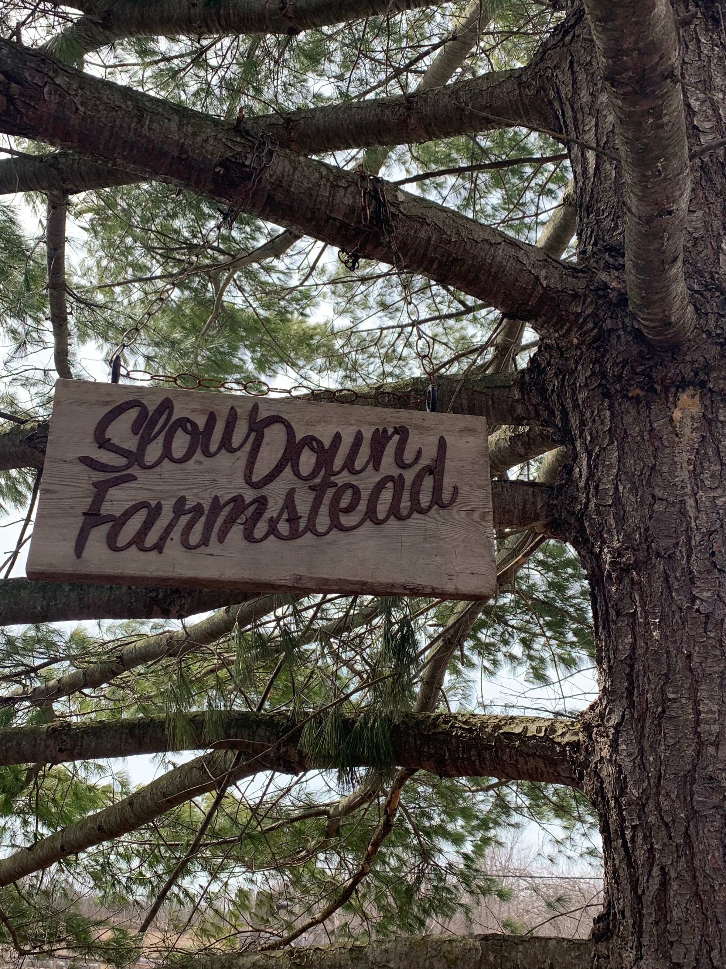 a day in the life at slowdown farmstead by Tara