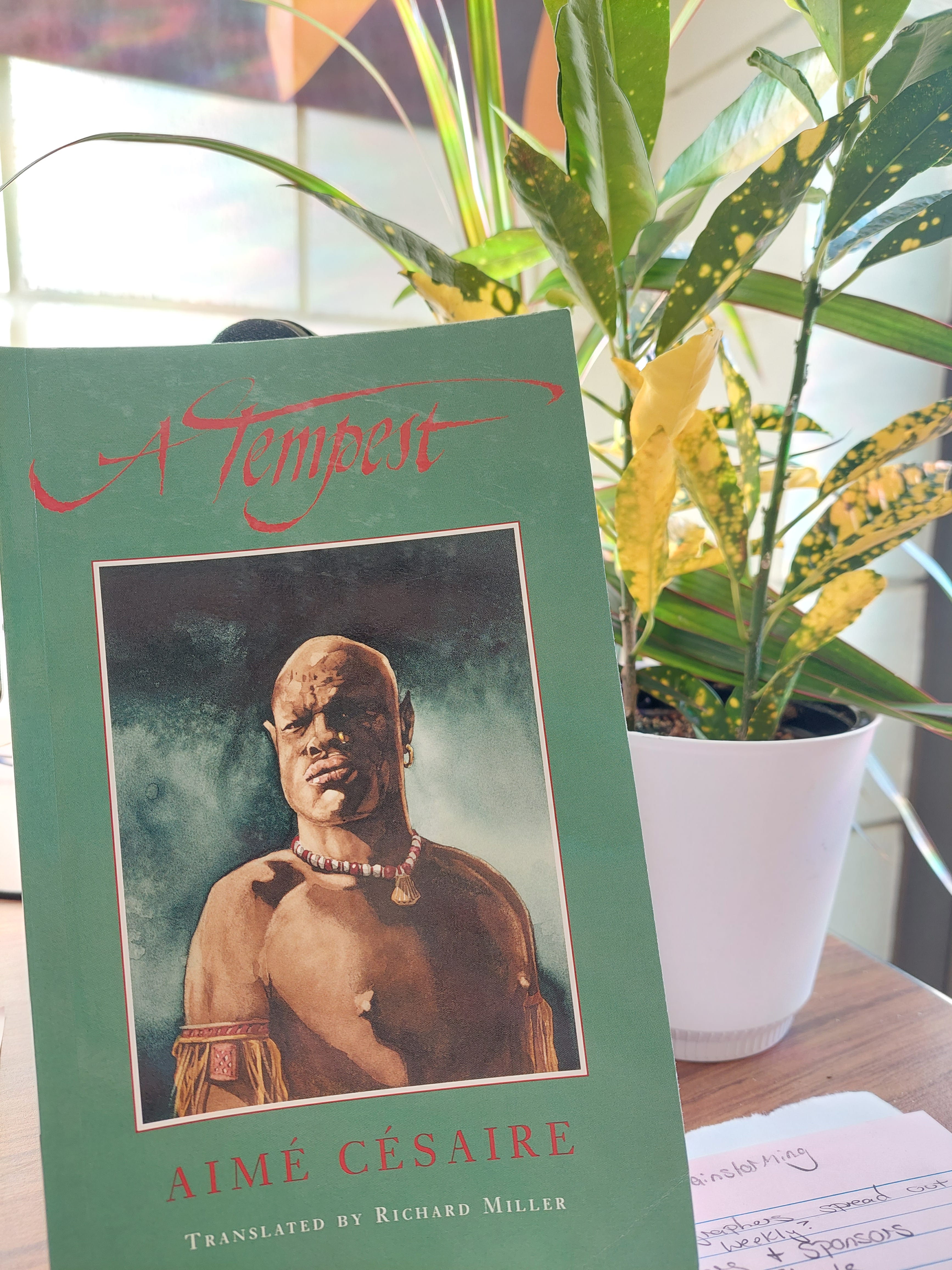 A Tempest by Aimé Césaire - by Lainie Vansant