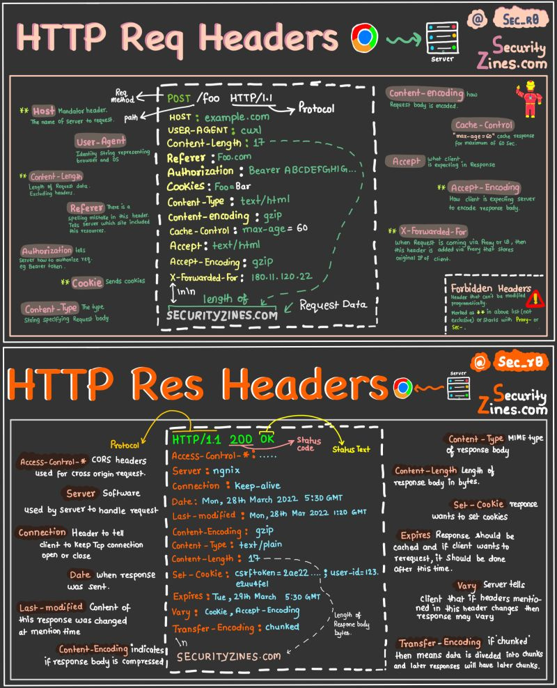 🌐 HTTP Basics - Foundation of data communication on the web