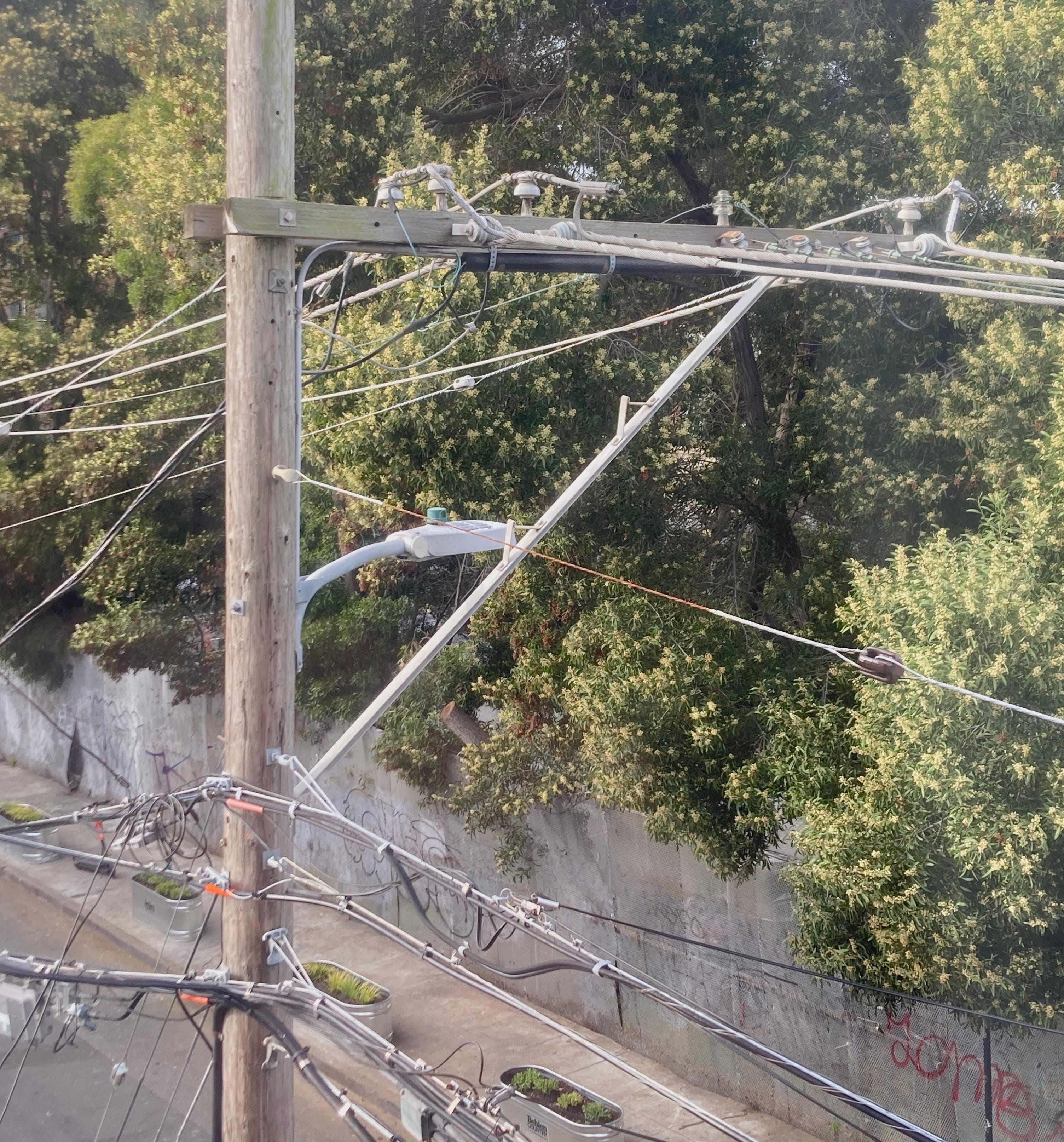 san-francisco-tonight-by-phil-elverum