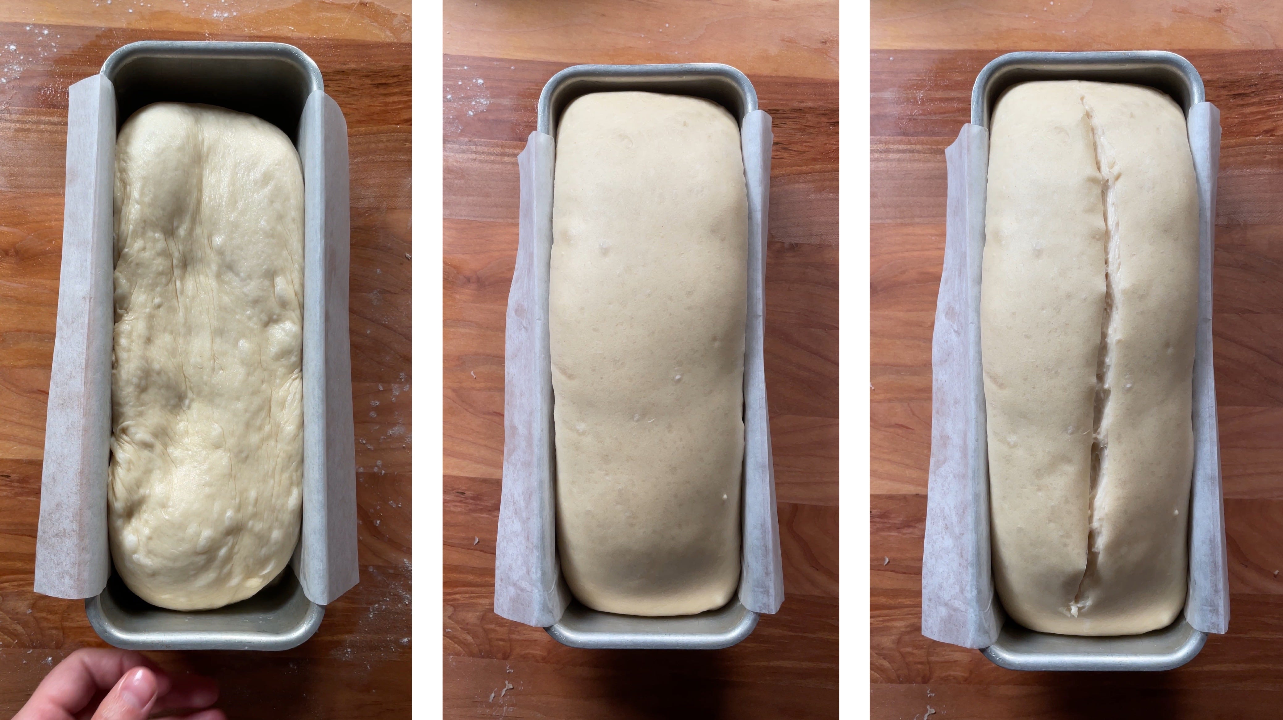 Cottage Cheese Bread by Carolina Gelen SCRAPS