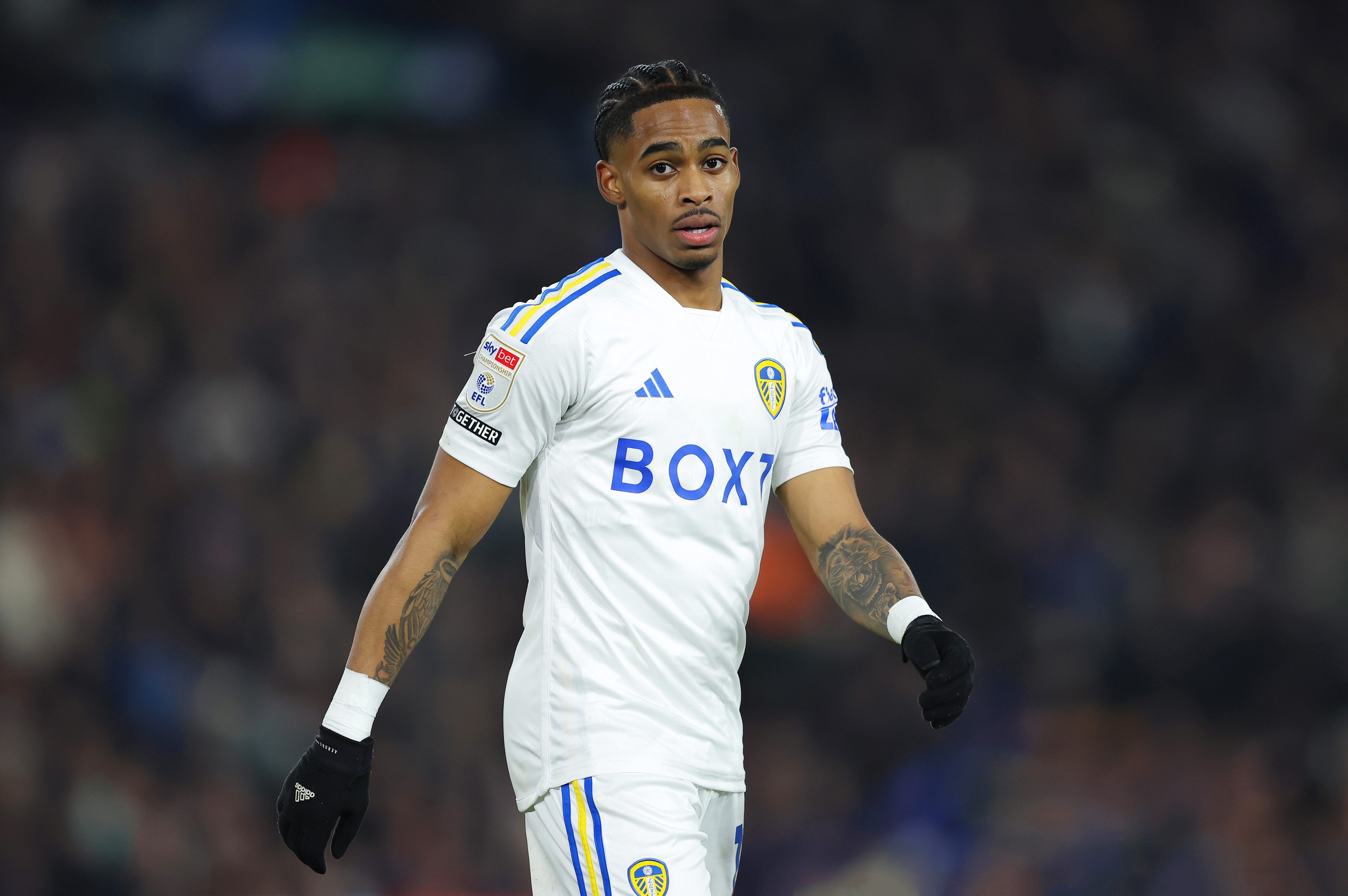 4256eb09-bd8f-49a1-9940-548ff1d71619_538