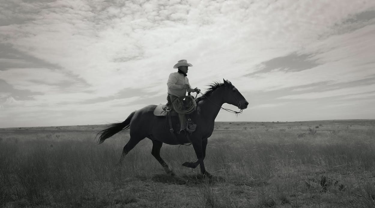 Clarendon horse boots top
