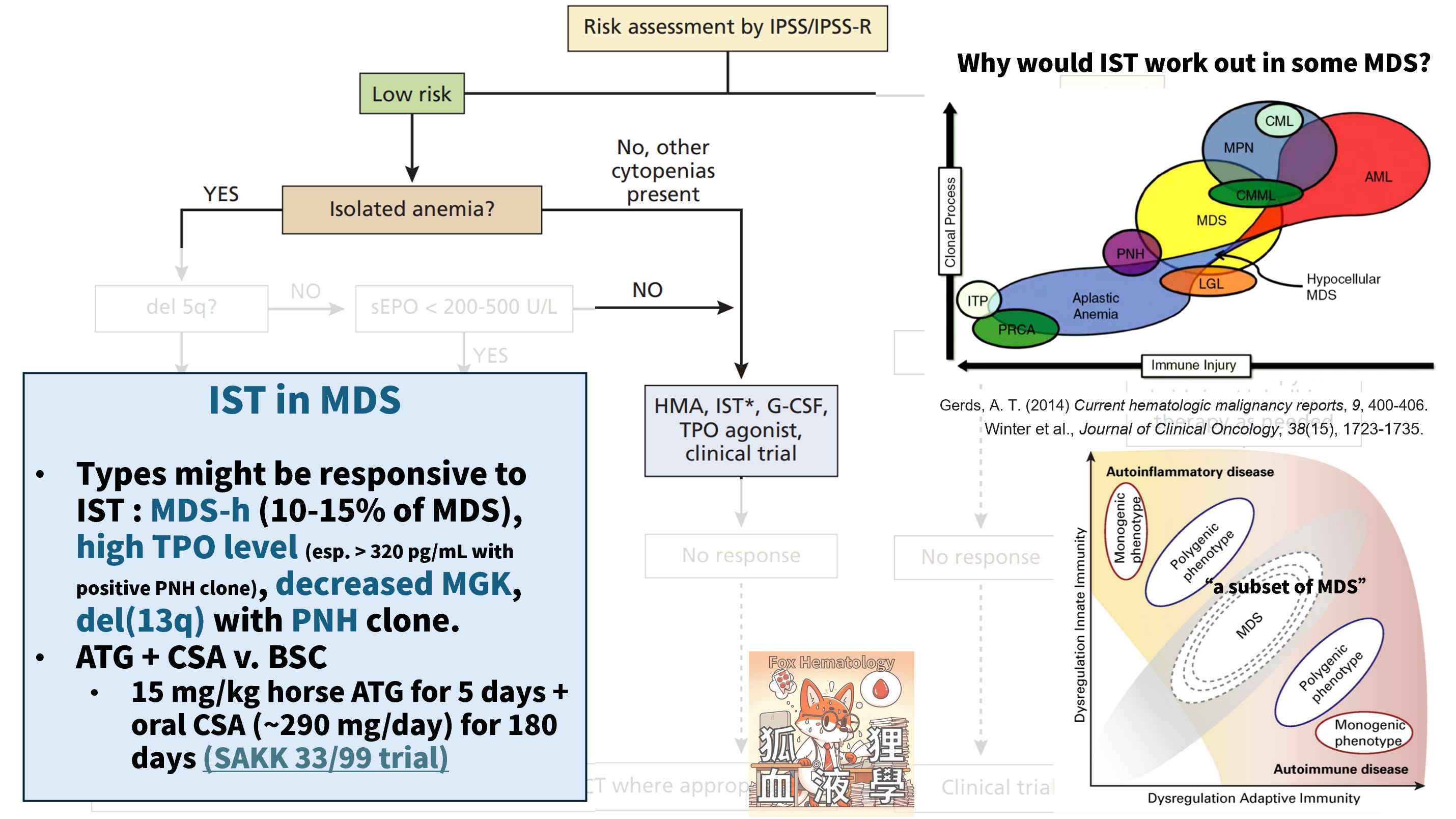 骨髓化生不良症候群（Myelodysplastic syndrome）現今治療概述 - by Gem Wu