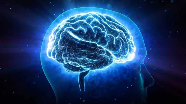 Study Finds Link Between Brain Energy Production and Your Psychosocial ...