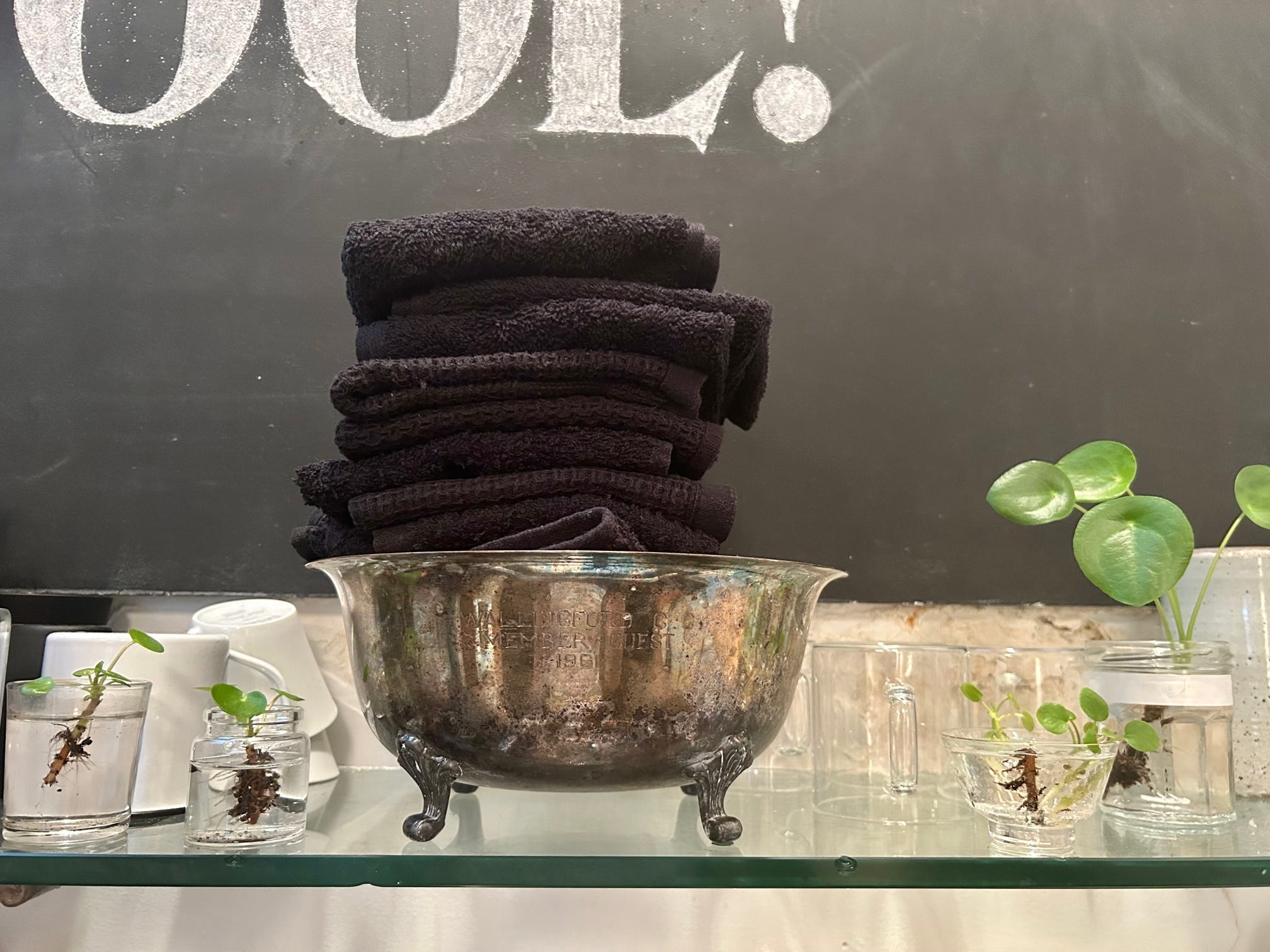 Cheat codes for life The Life and Errors of Molly Young