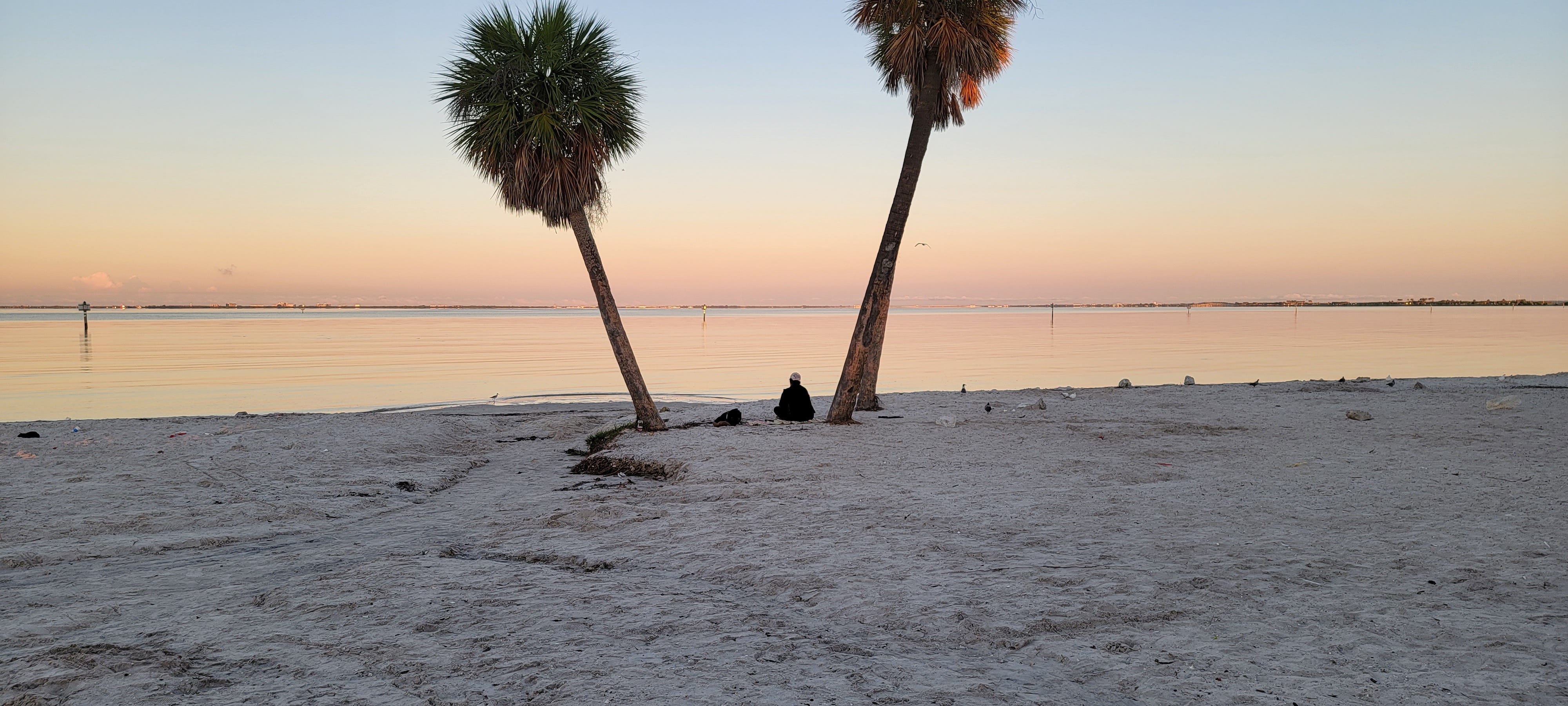 Tampa's Top 10 Attraction Road to Something New