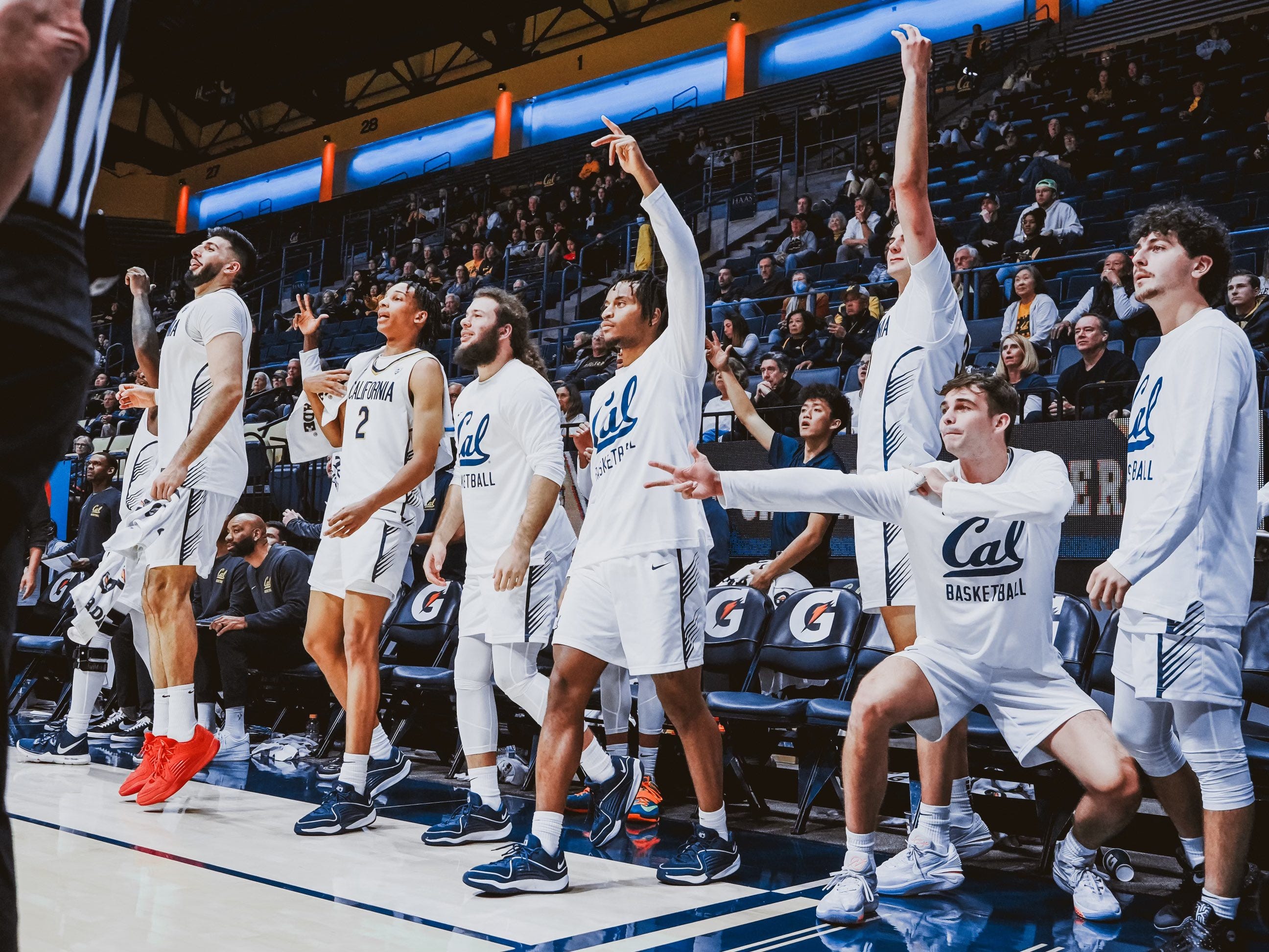 Cal v. Montana State College Basketball Betting Odds and Lines 2023 Cal v. Montana State College Basketball Betting Odds and Lines 2023