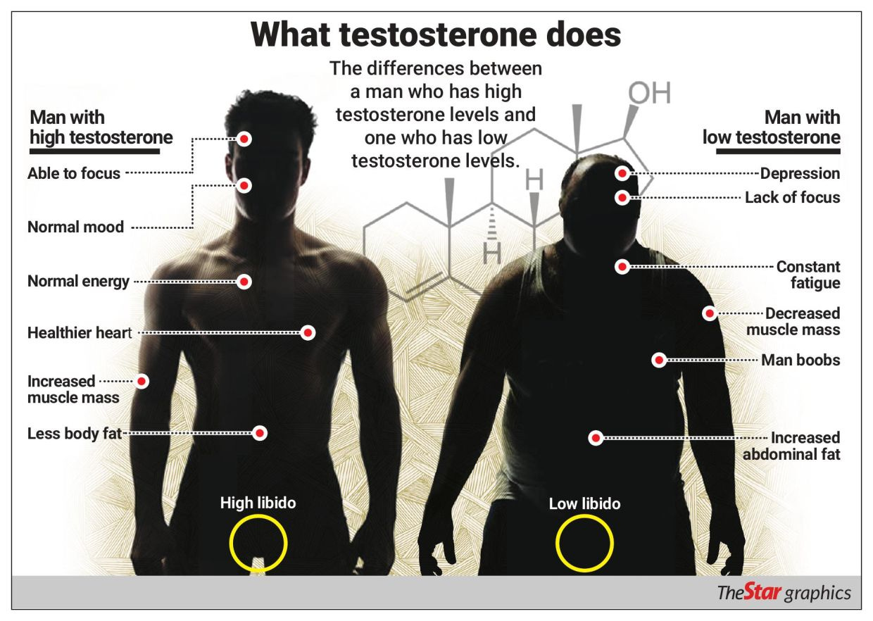 The Declining Level Of Male Testosterone the-declining-level-of-male-testosterone