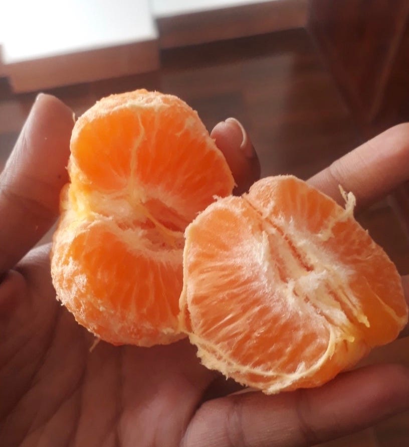 How to eat an Orange Vittles