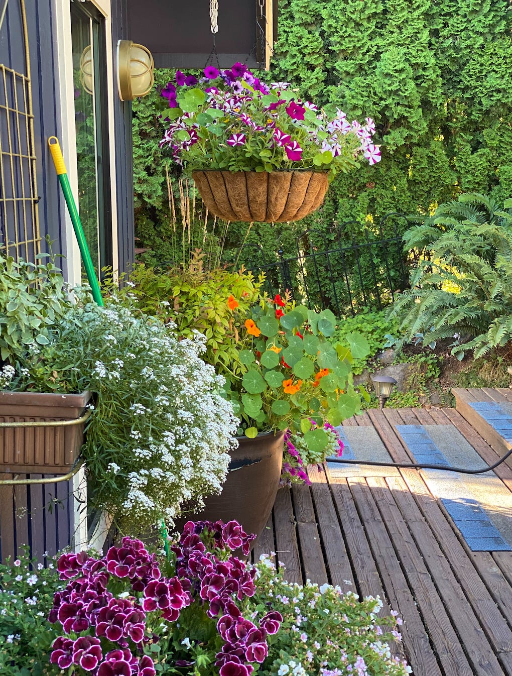 Container gardening sale