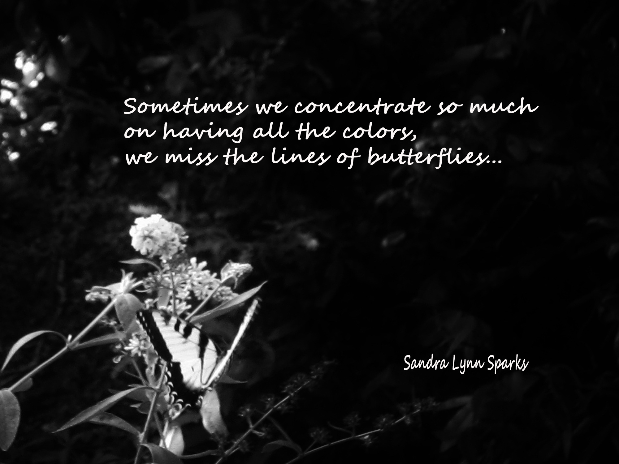 Fetching Butterflies Leak: A Critical Analysis - j53b5qt