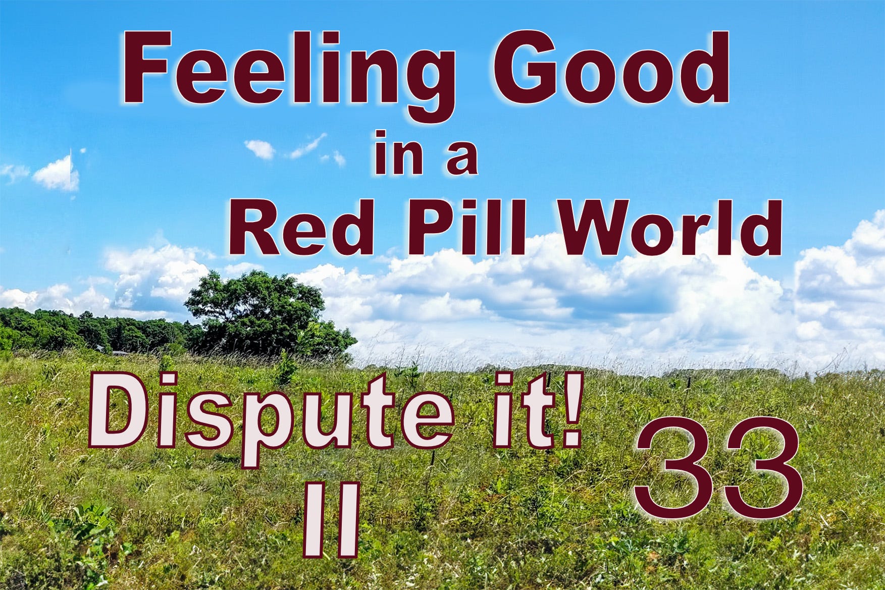 Feeling Good in a Red Pill World Dispute It! Here's How