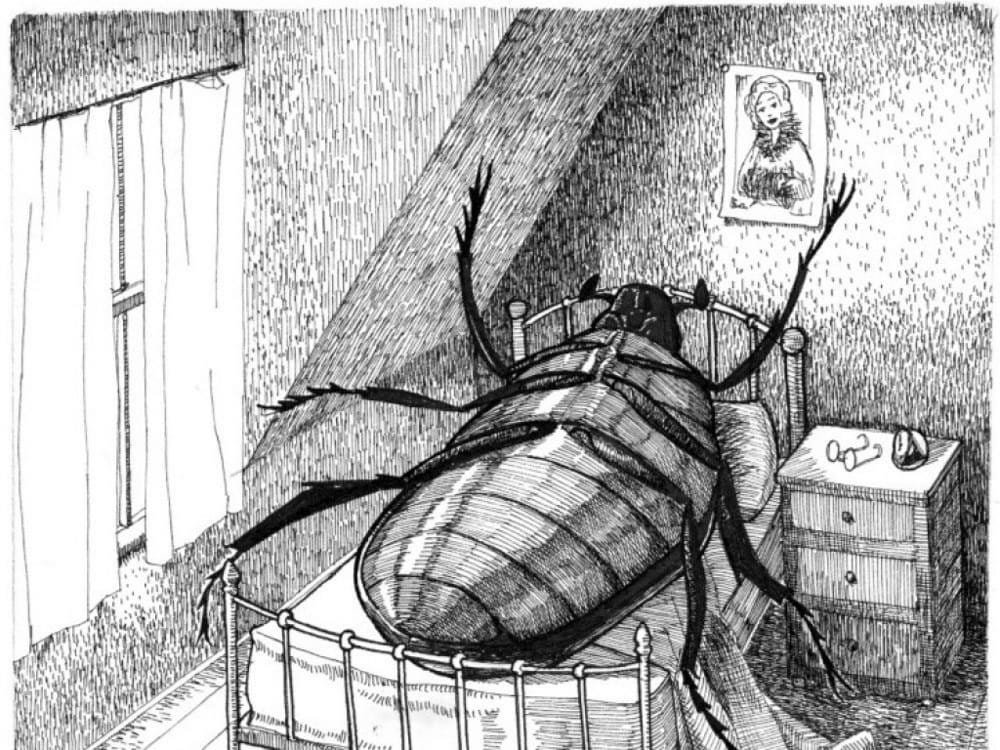 “La Metamorfosi” di Franz Kafka - Significato e riflessioni